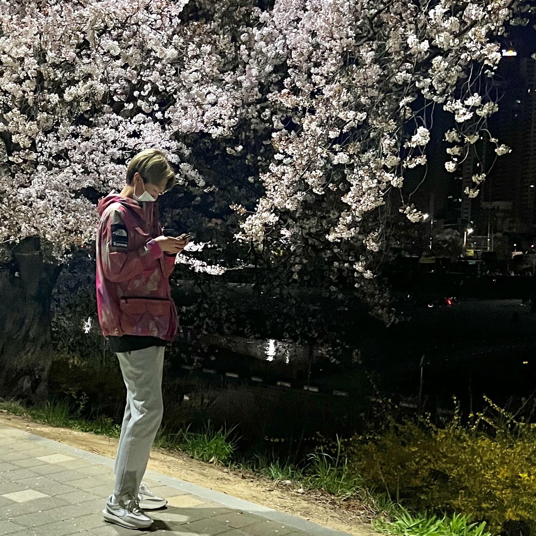 Supreme x The North Face Cargo Jacket Multi-Color - 20SS, Nike x Sacai LDWaffle Summit White 착용 스타일
