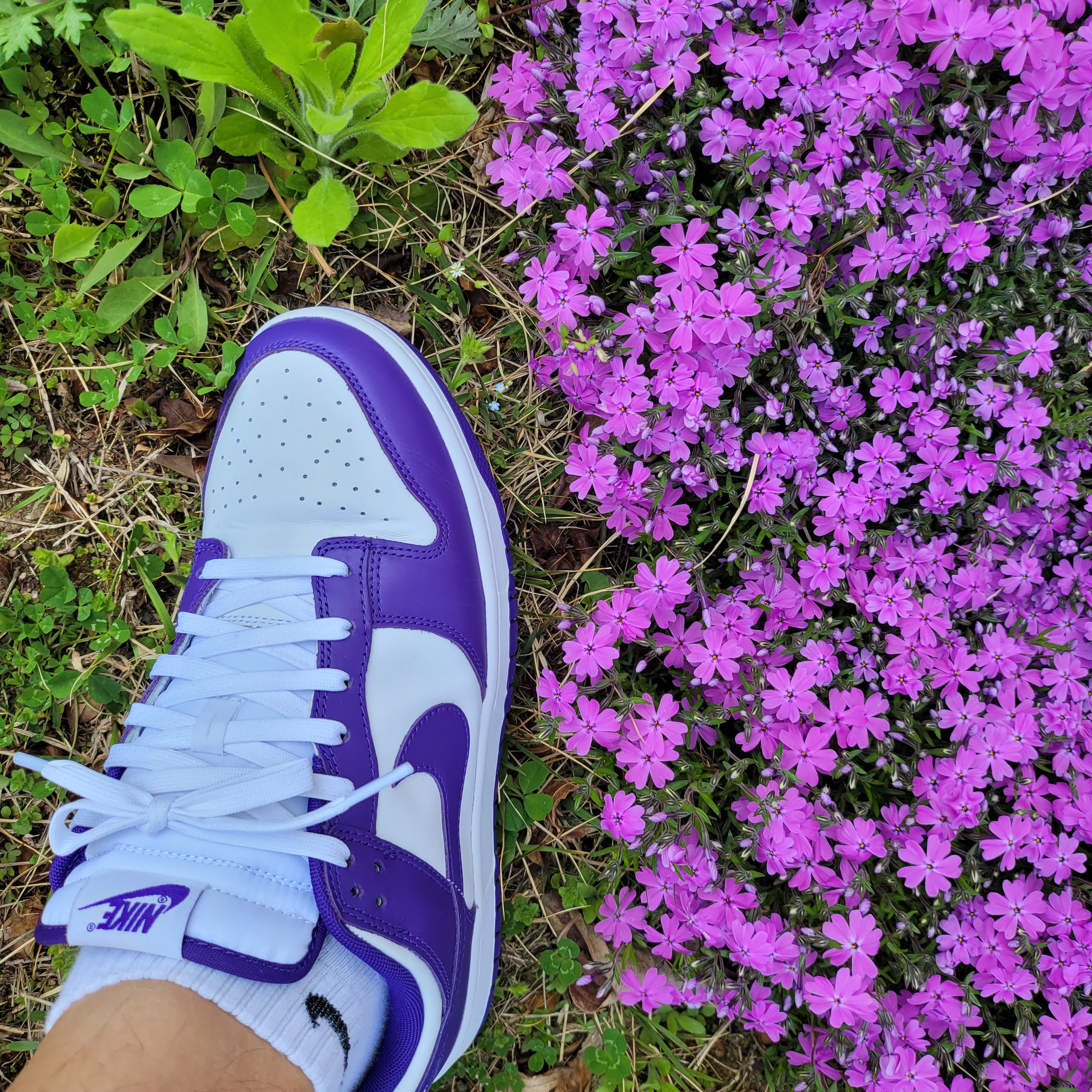 Nike Dunk Low Retro Championship Court Purple 착용 스타일