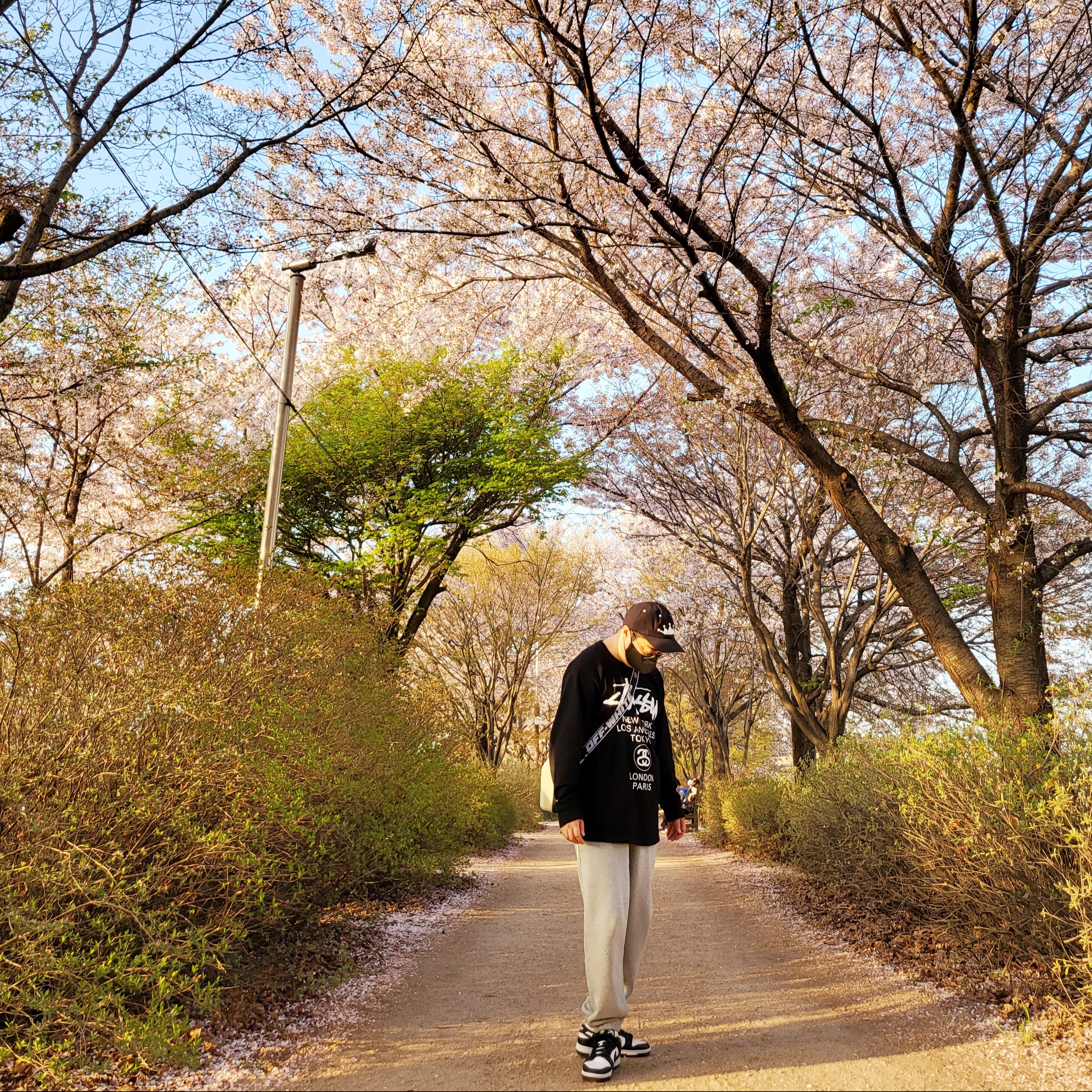 Stussy World Tour LS T-Shirt Black, Nike NRG Solo Swoosh Fleece Pants Dark Grey Heather - Asia 착용 스타일 - 4