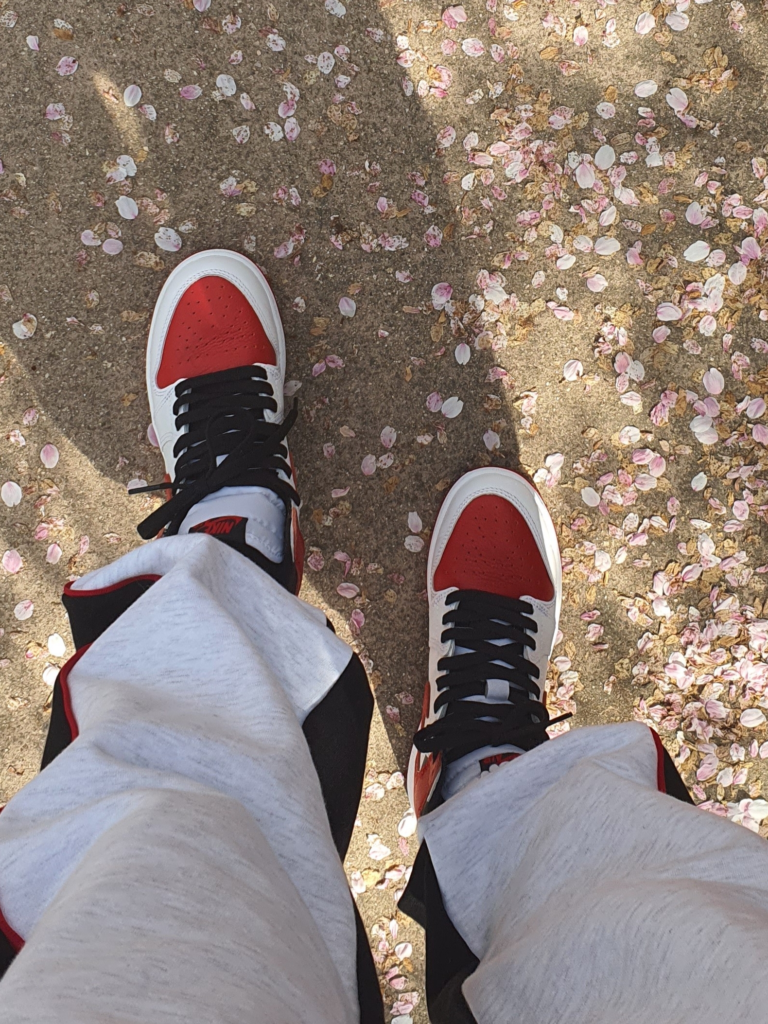 (GS) Jordan 1 Retro High OG Heritage 착용 스타일 - 3