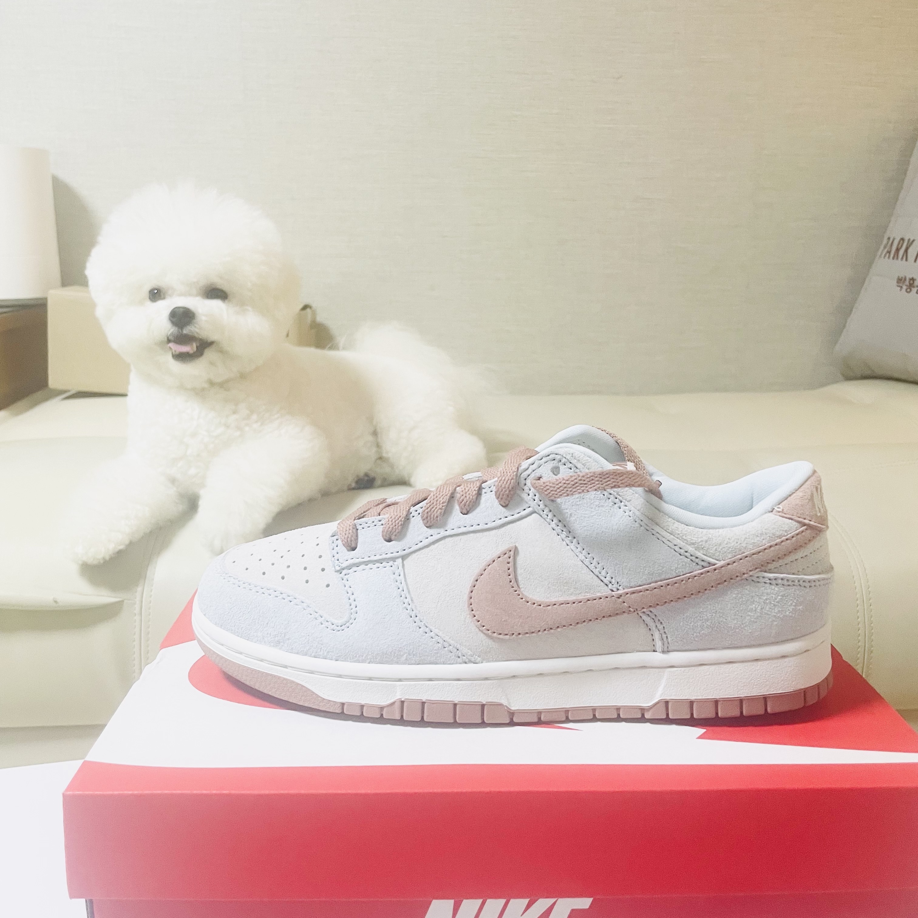 Nike Dunk Low Retro PRM Fossil Rose 착용 스타일