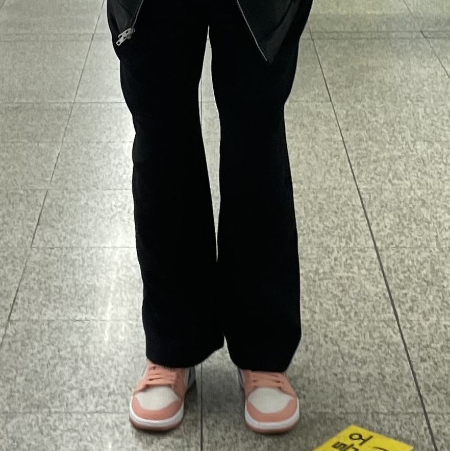 (W) Jordan 1 Low Light Madder Root 착용 스타일