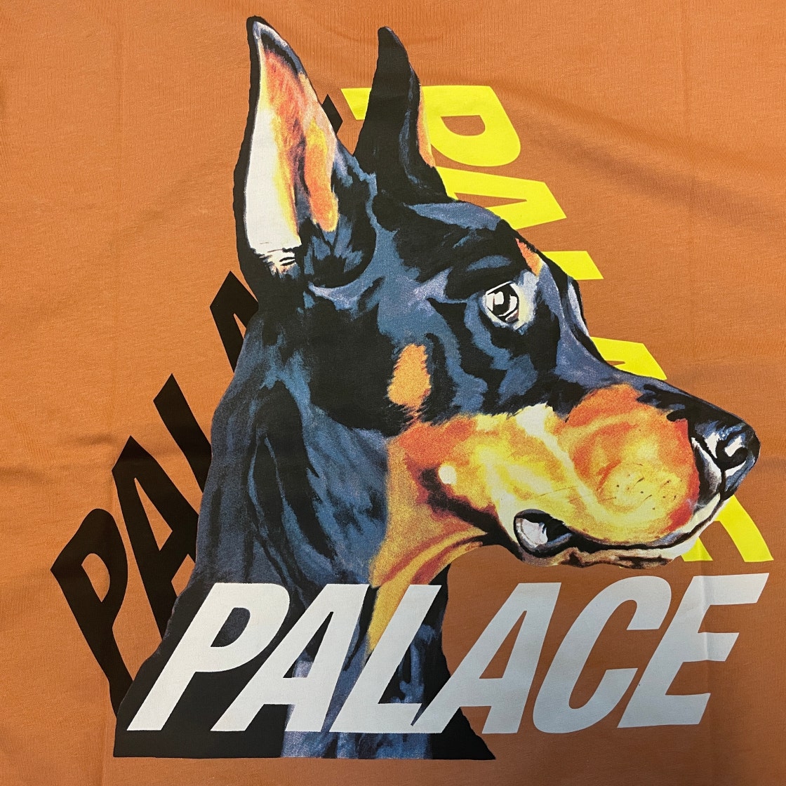 【国内発送】SS22 Palace P-3-K-9 T-SHIRT Tシャツ Tee Palace P-3-K-9 T-Shir STYLE | KREAM