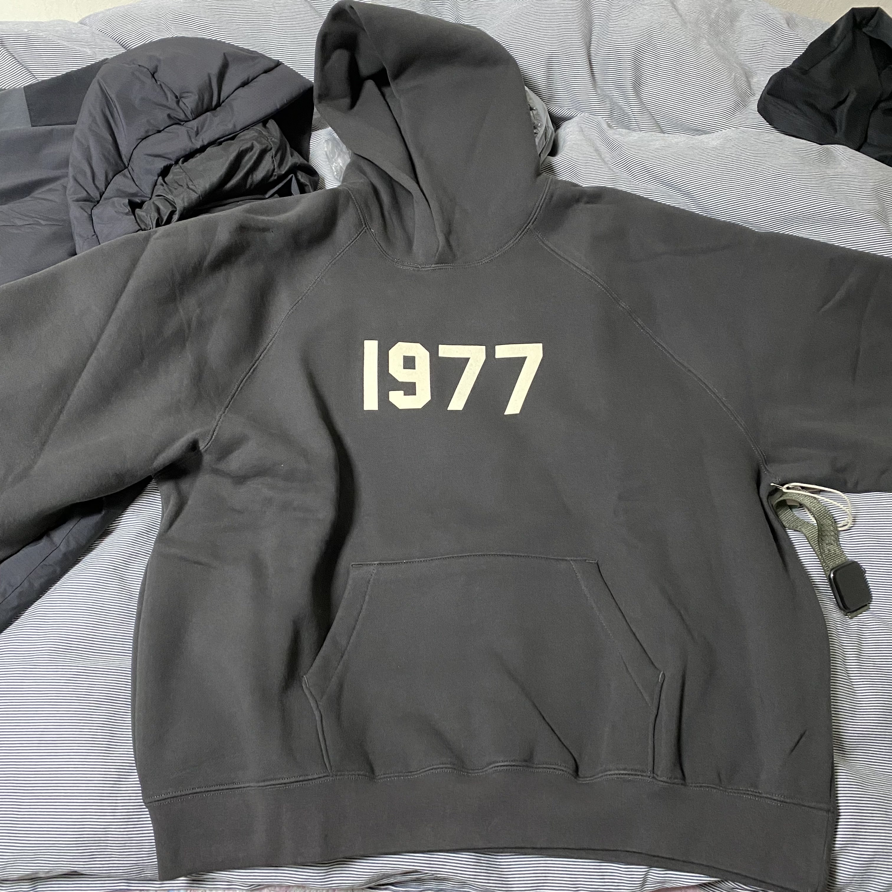 Essentials 1977 Hoodie Iron - 22SS 착용 스타일 - 3