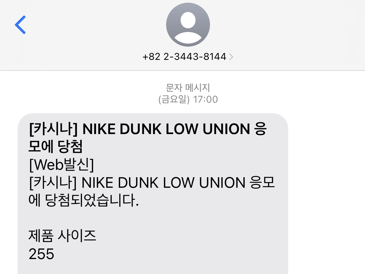 Nike x Union Dunk Low Passport Pack Court Purple White 착용 스타일 - 3