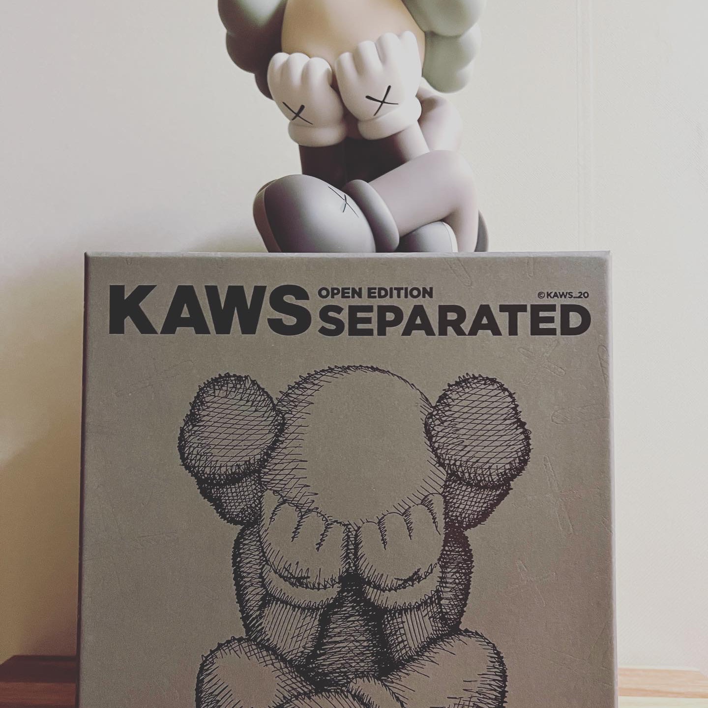 Kaws Separated Vinyl Figure Brown 착용 스타일 - 2