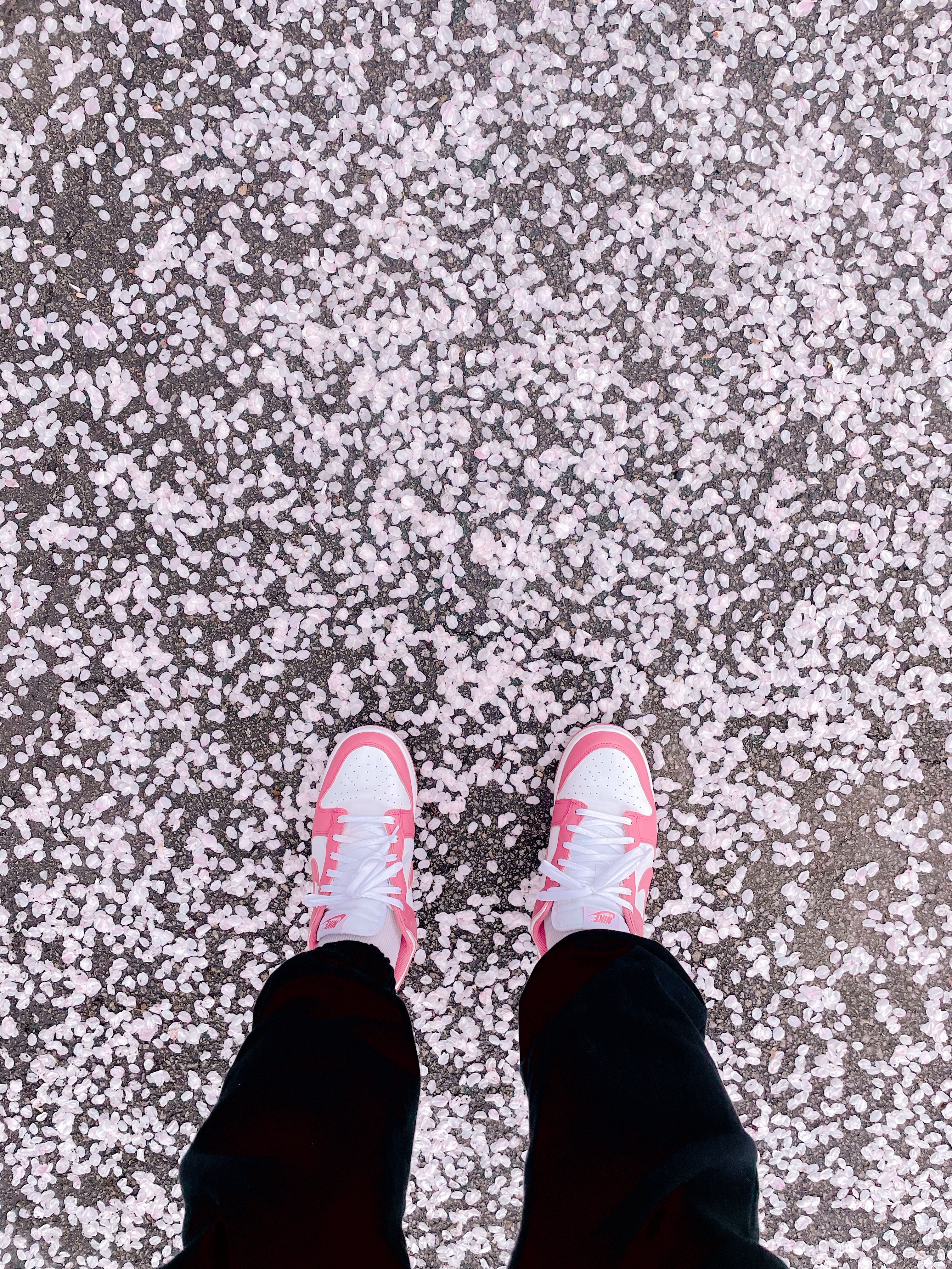 (W) Nike Dunk Low Archeo Pink 착용 스타일