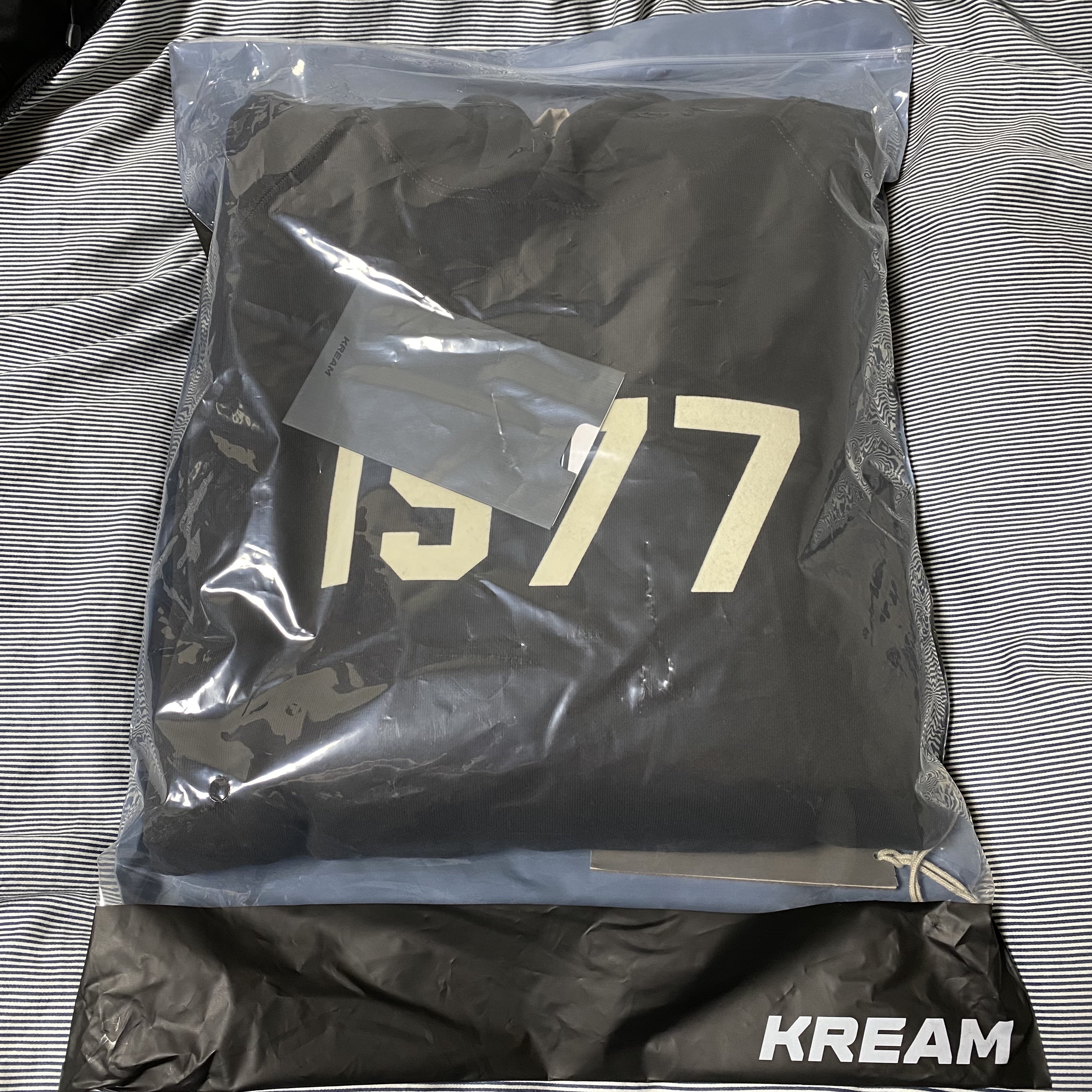 Essentials 1977 Hoodie Iron - 22SS 착용 스타일 - 1