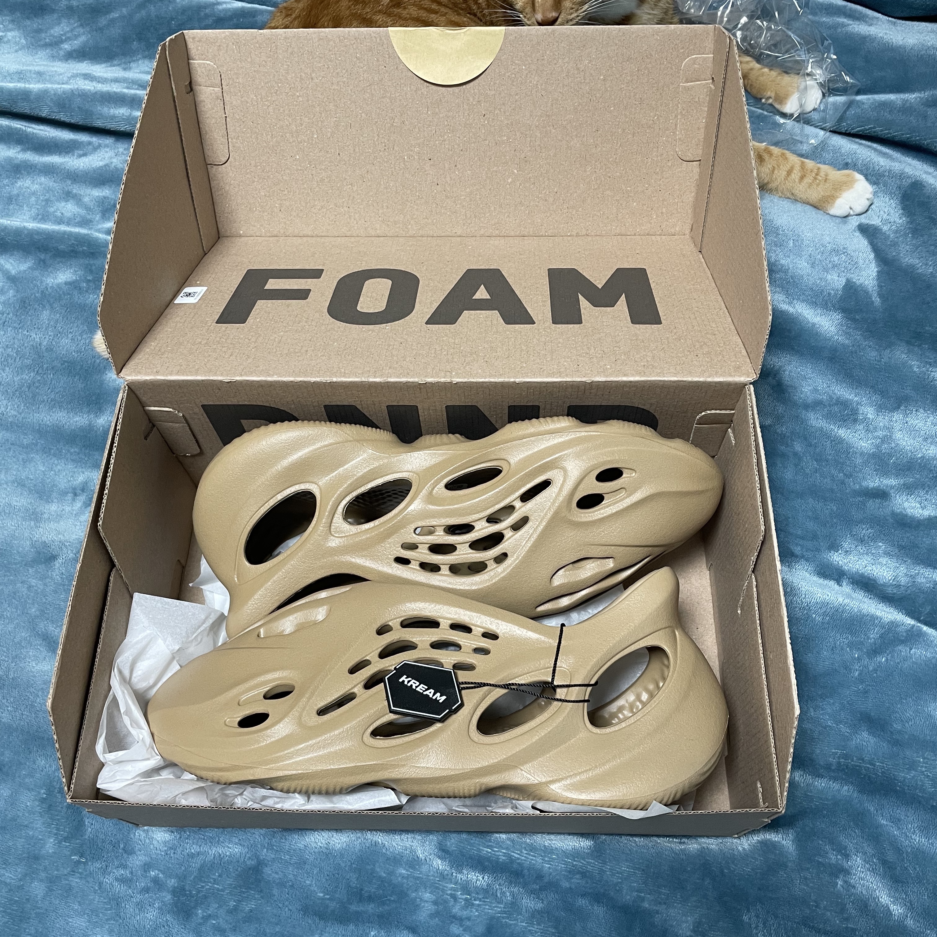 Adidas Yeezy Foam RNNR Ochre 착용 스타일 - 1