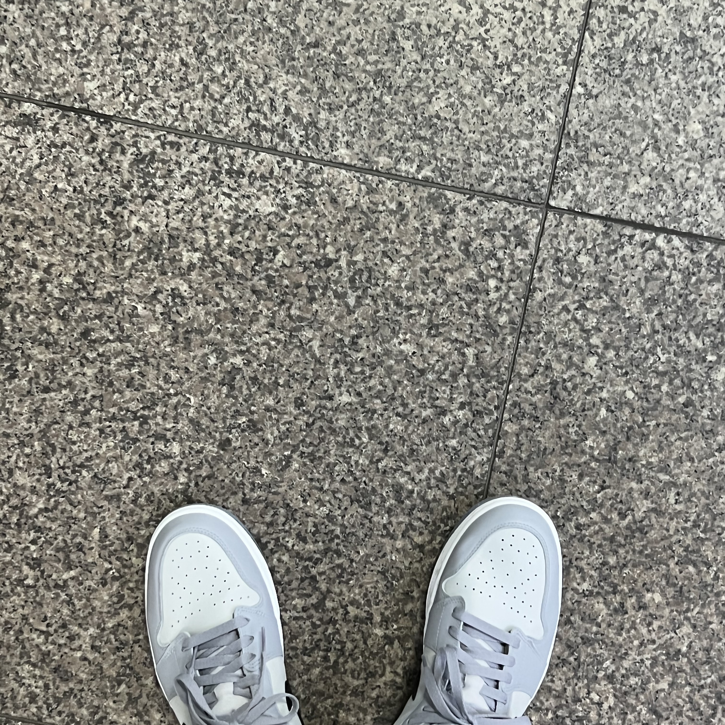 Jordan 1 Low Golf Wolf Grey 착용 스타일 - 2