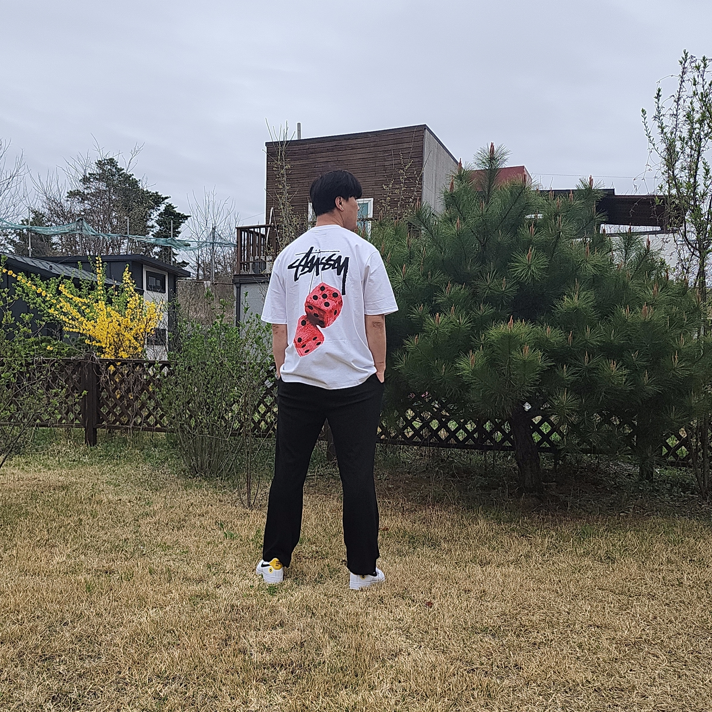 Stussy Fuzzy Dice T-Shirt White, Nike Air Force 1 '07 LV8 2 Have a Nike Day 착용 스타일 - 1
