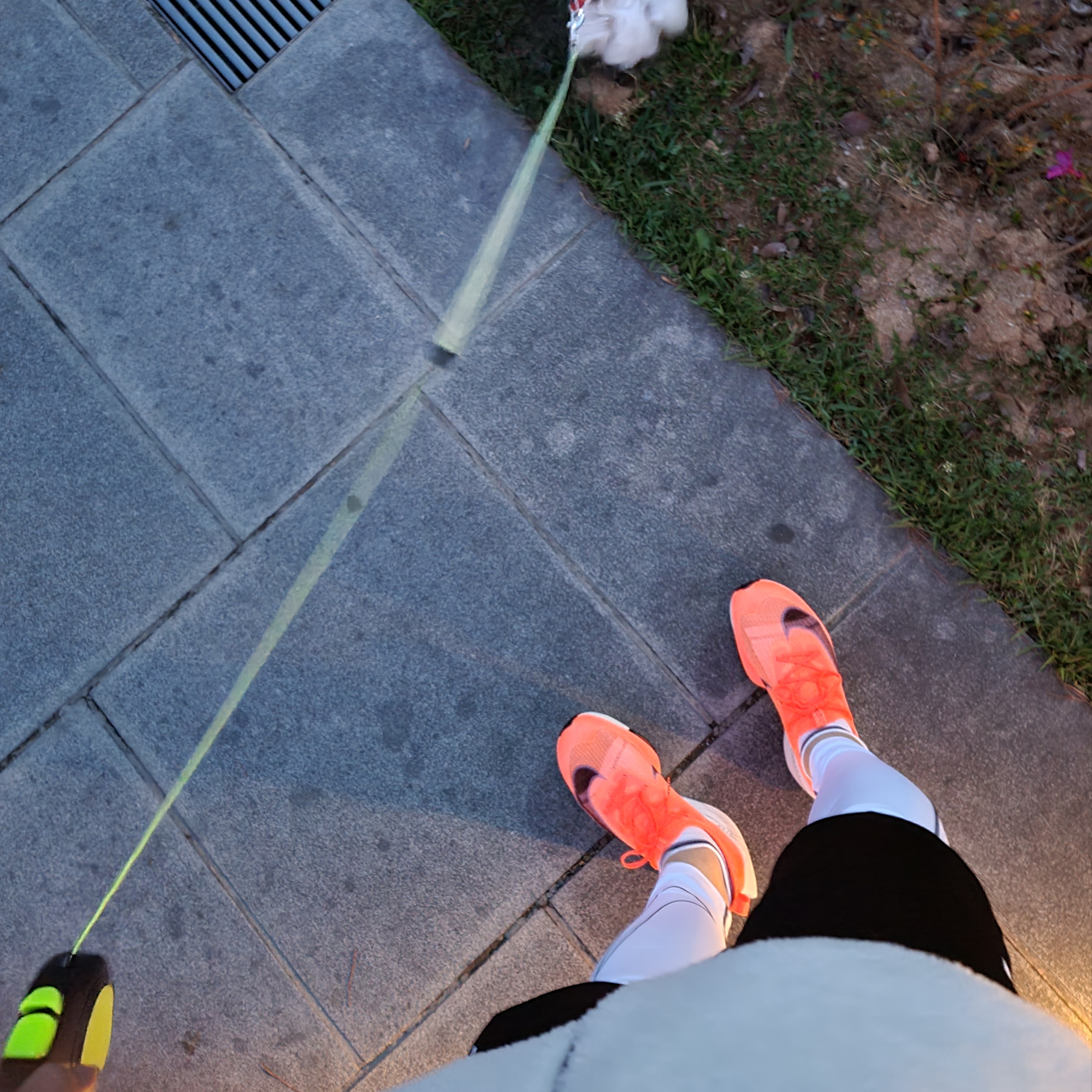 Nike Air Zoom Alphafly Next% Bright Mango 착용 스타일 - 4