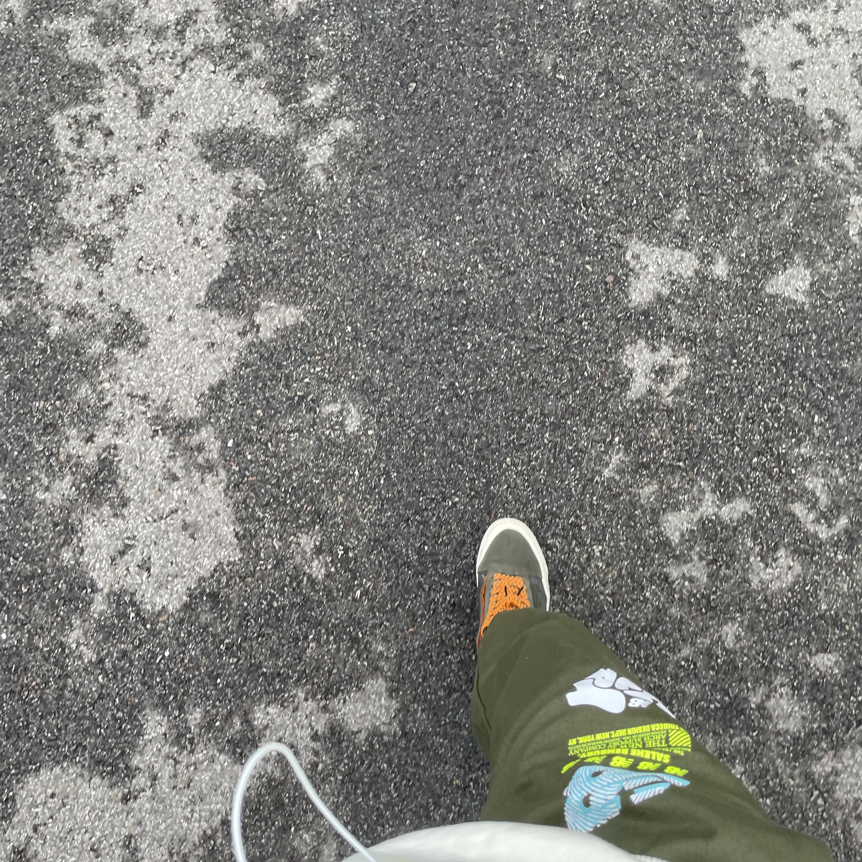 Jordan 1 Retro High OG Pollen, Vans Vault x Nigel Cabourn OG Classic Slip-On LX Carpet Green Mix 착용 스타일 - 5
