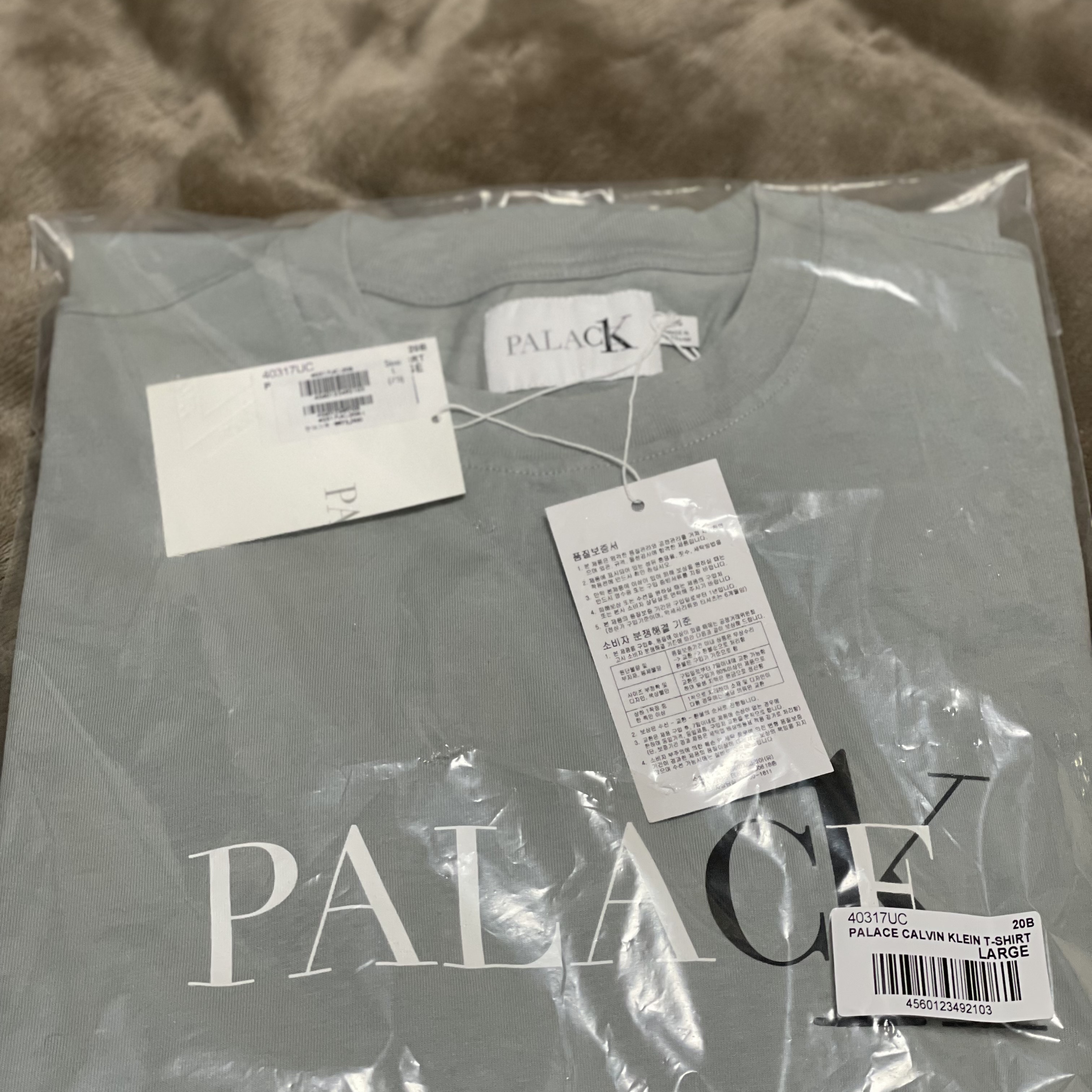 Palace x CK1 T-Shirt Quarry - 22SS 착용 스타일