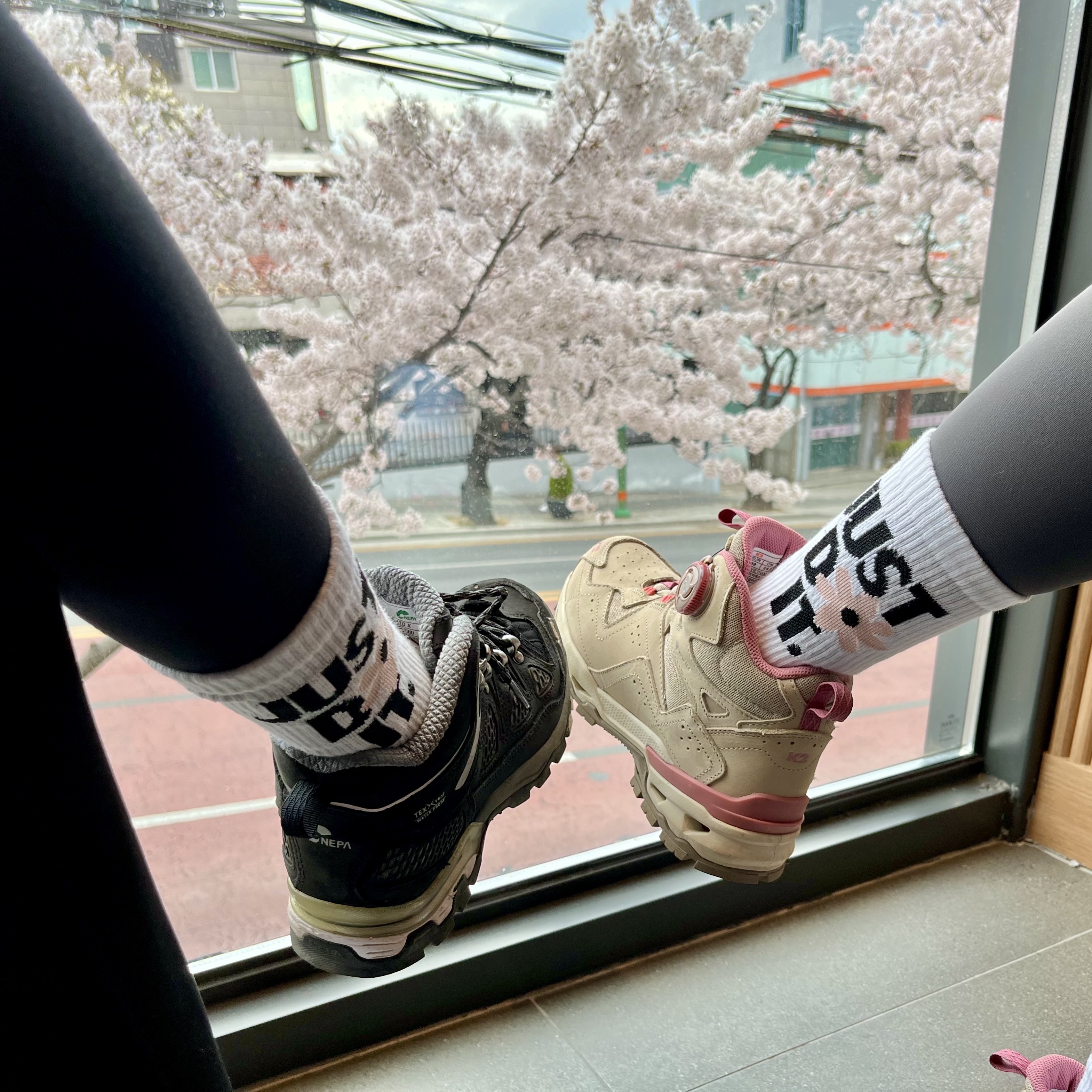 (Kids) Nike Everyday Plus Socks Pink White (6 Pack/Korean Ver.) 착용 스타일 - 3