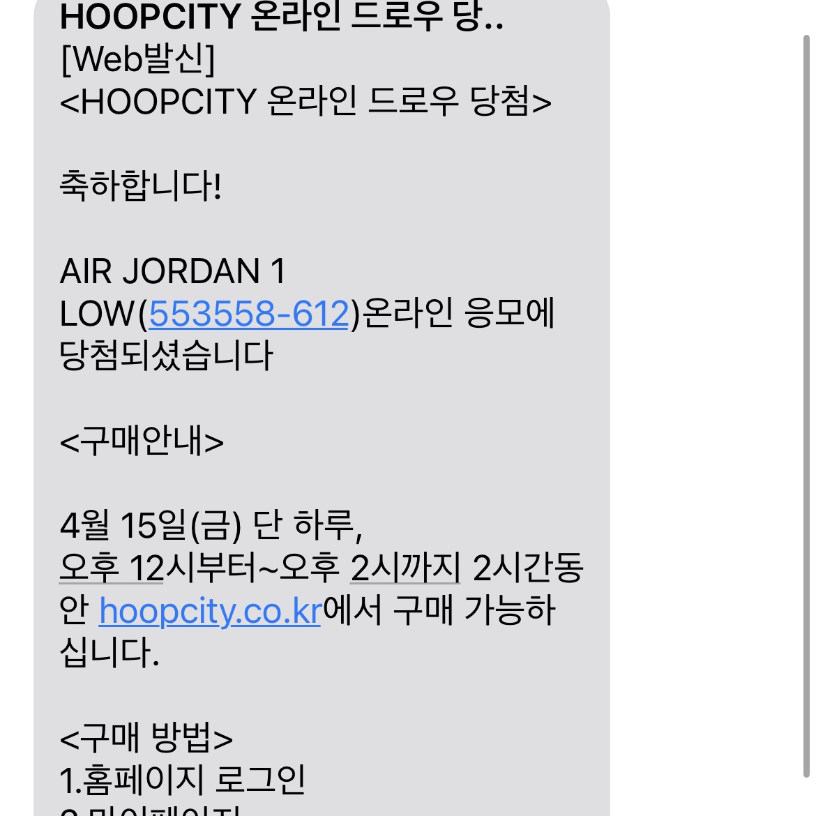 Jordan 1 Low Bred Toe 착용 스타일
