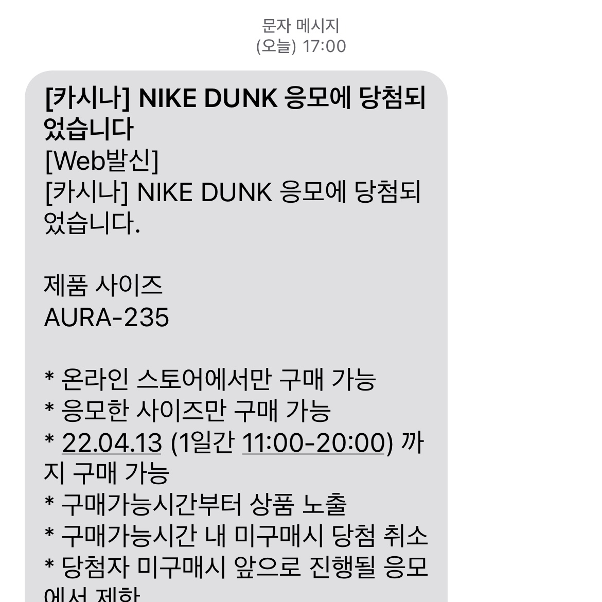 (GS) Nike Dunk Low Aura 착용 스타일 - 4