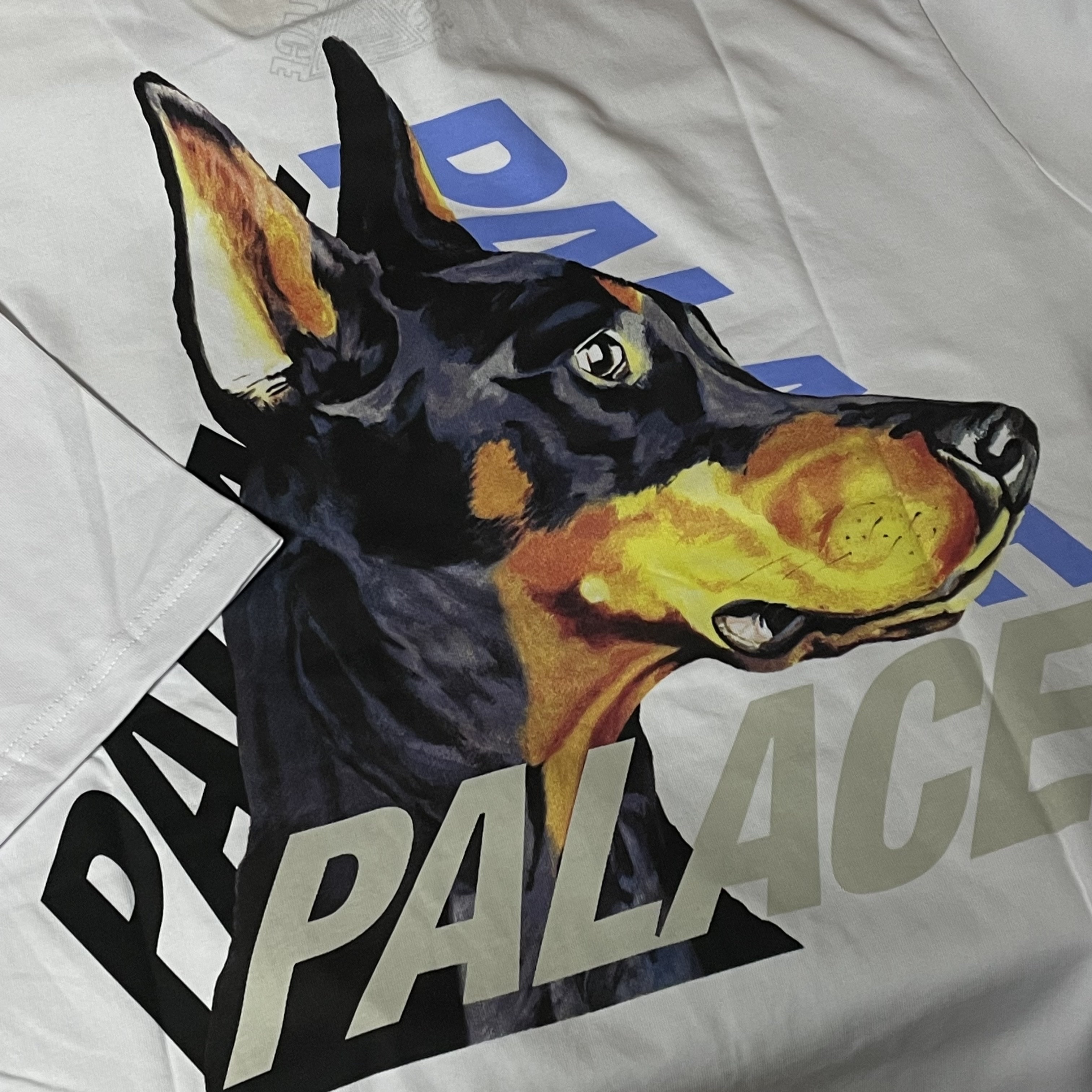 Palace P-3-K-9 T-Shirt White - 22SS, Palace x CK1 T-Shirt Black - 22SS 착용 스타일 - 4