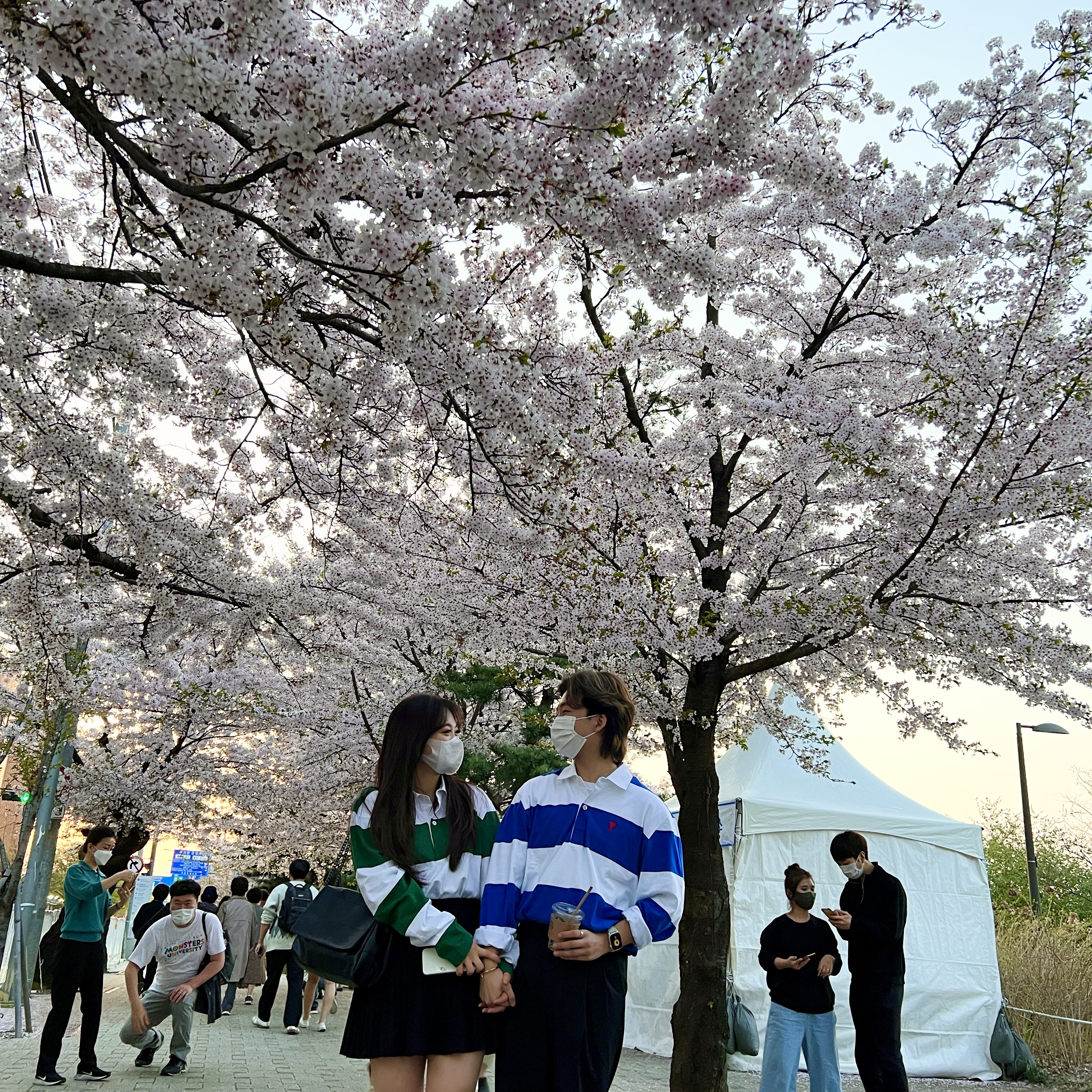 AMI de Coeur Striped Polo Shirt Blue White, AMI de Coeur Striped Polo Shirt Green White 착용 스타일