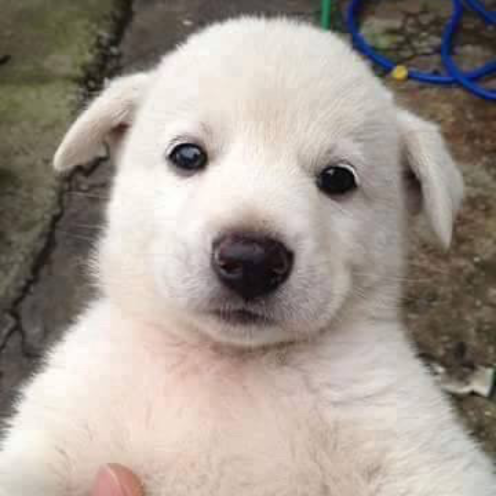 관심 유저 프로필 이미지