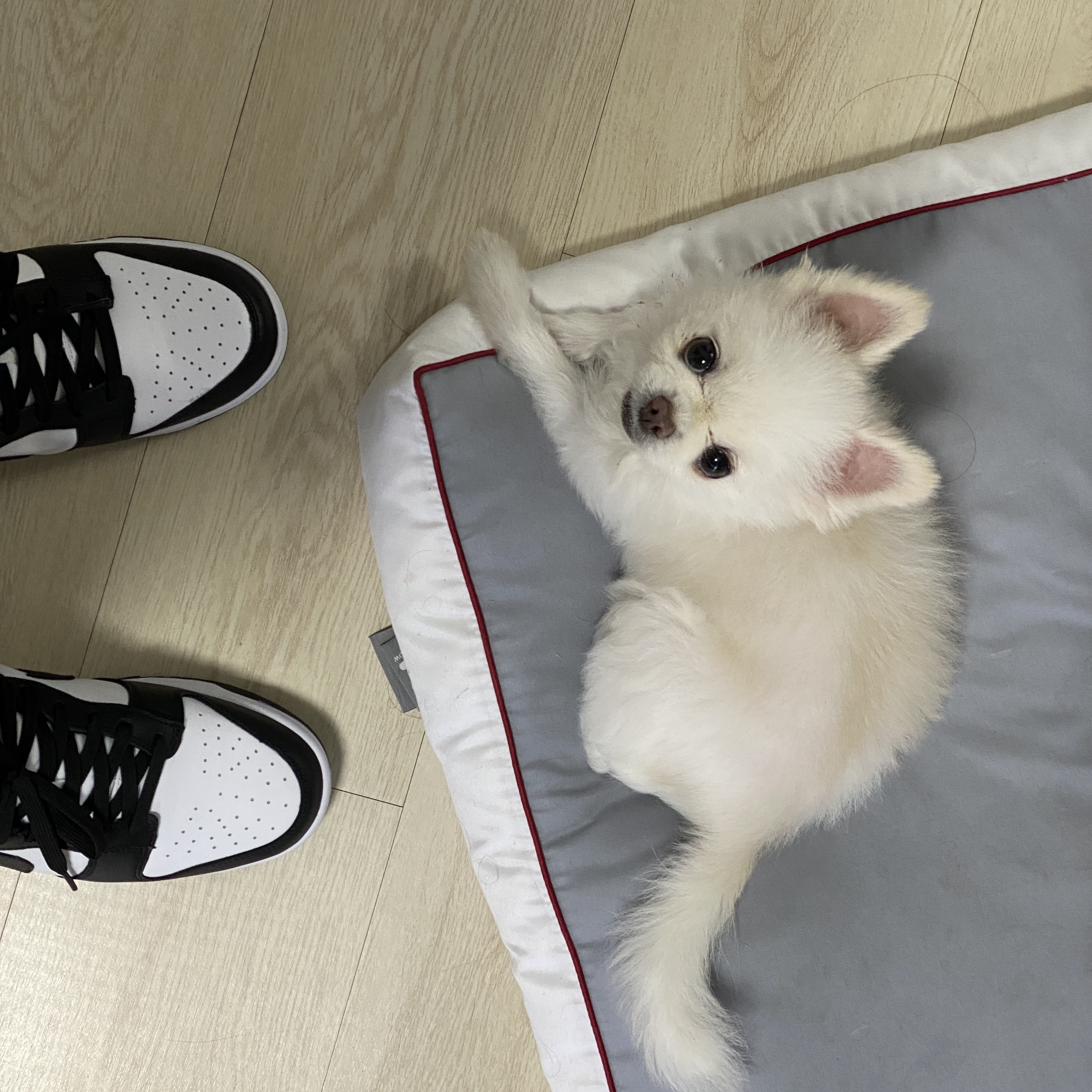 Nike Dunk Low Retro Black 착용 스타일 - 3