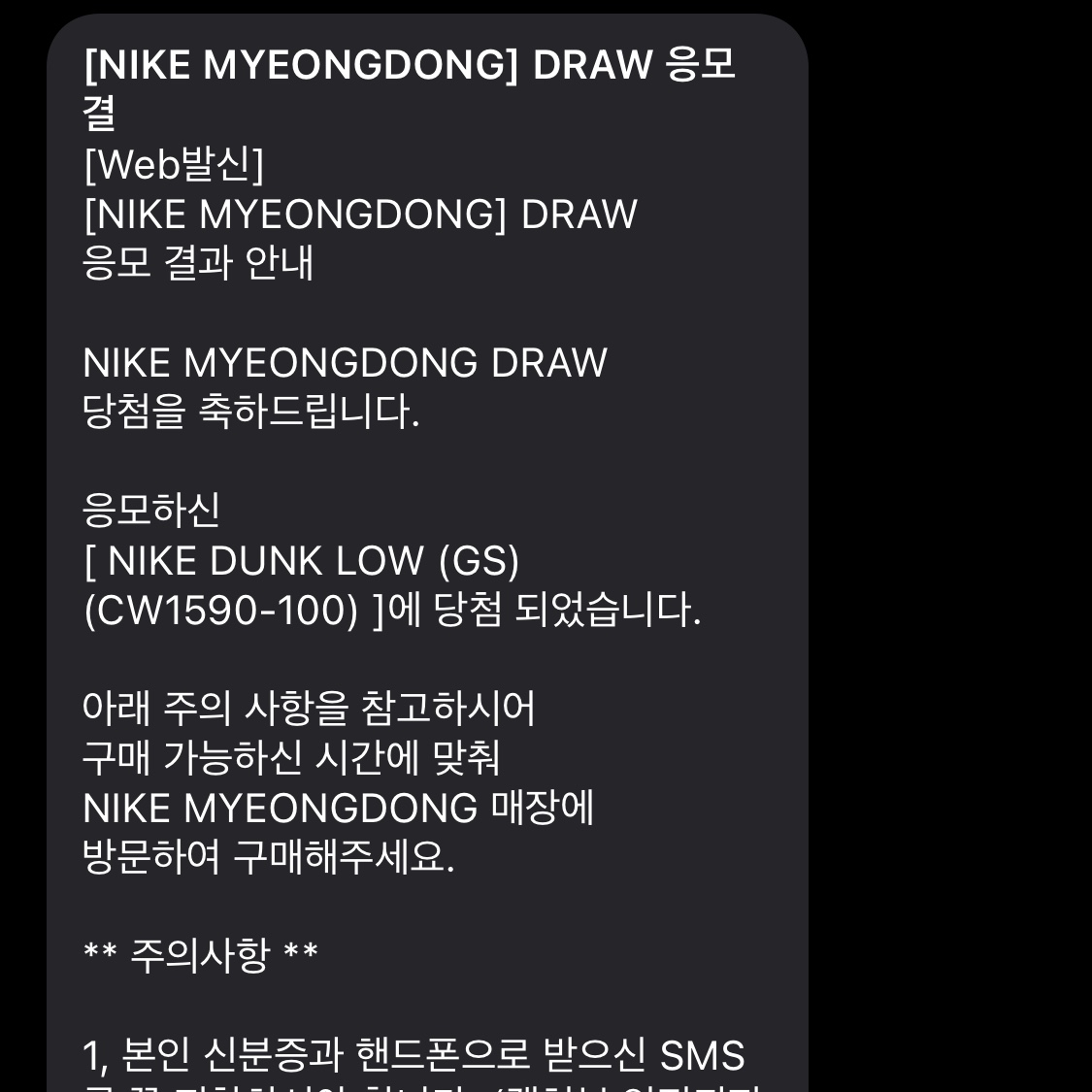 (GS) Nike Dunk Low Black 착용 스타일