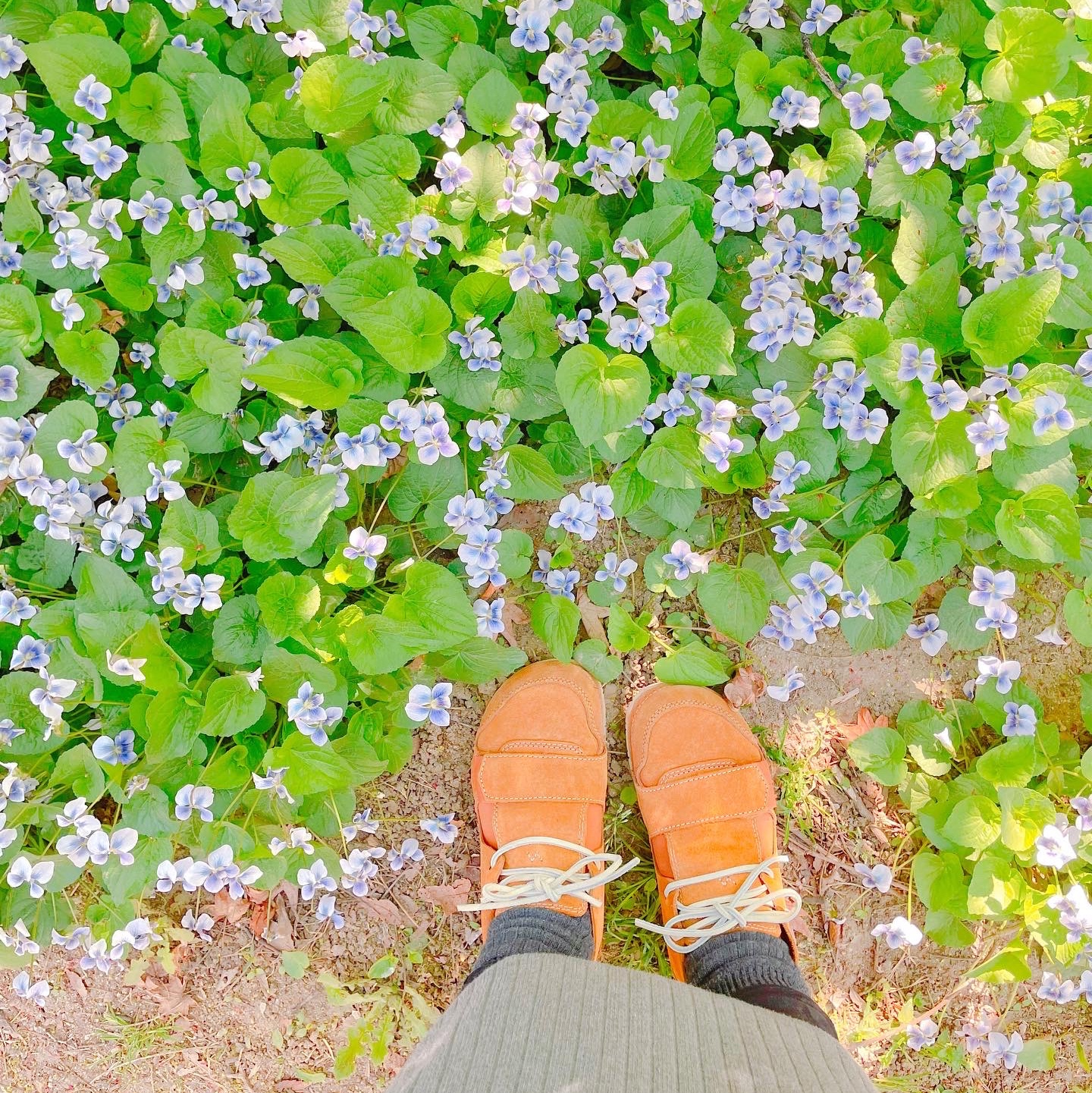 이루다님의 스타일