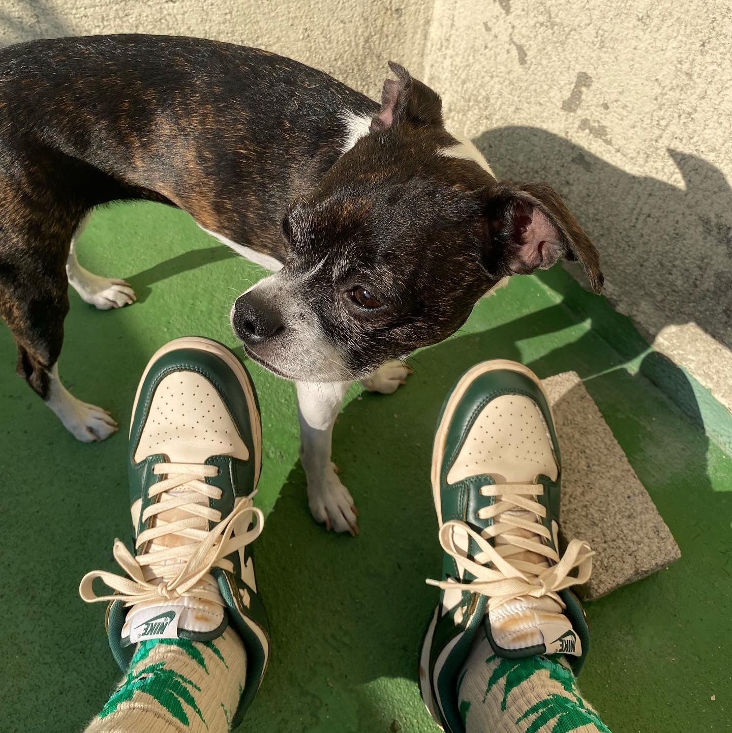 Nike Dunk Low Retro Varsity Green 착용 스타일