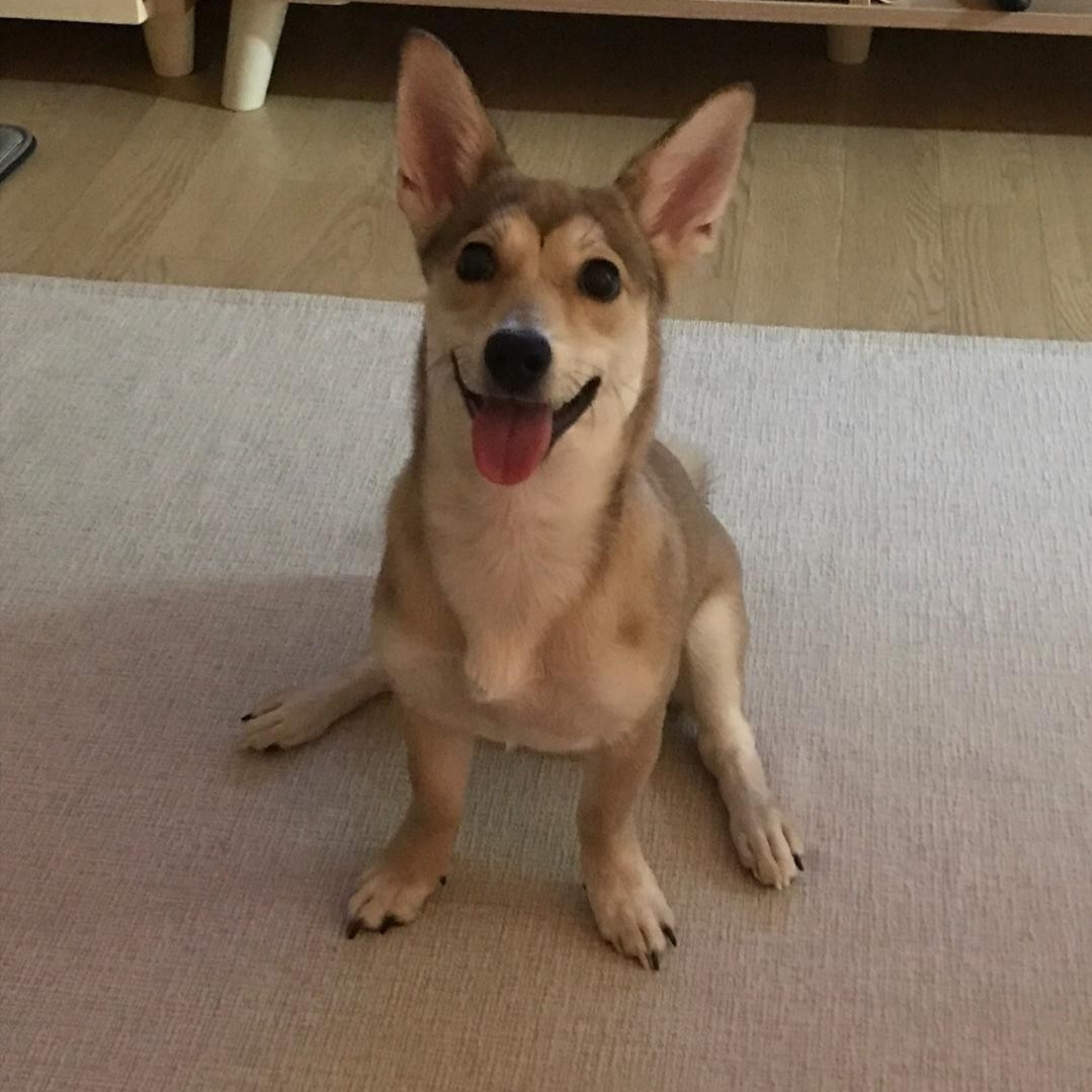 박밤비님의 스타일