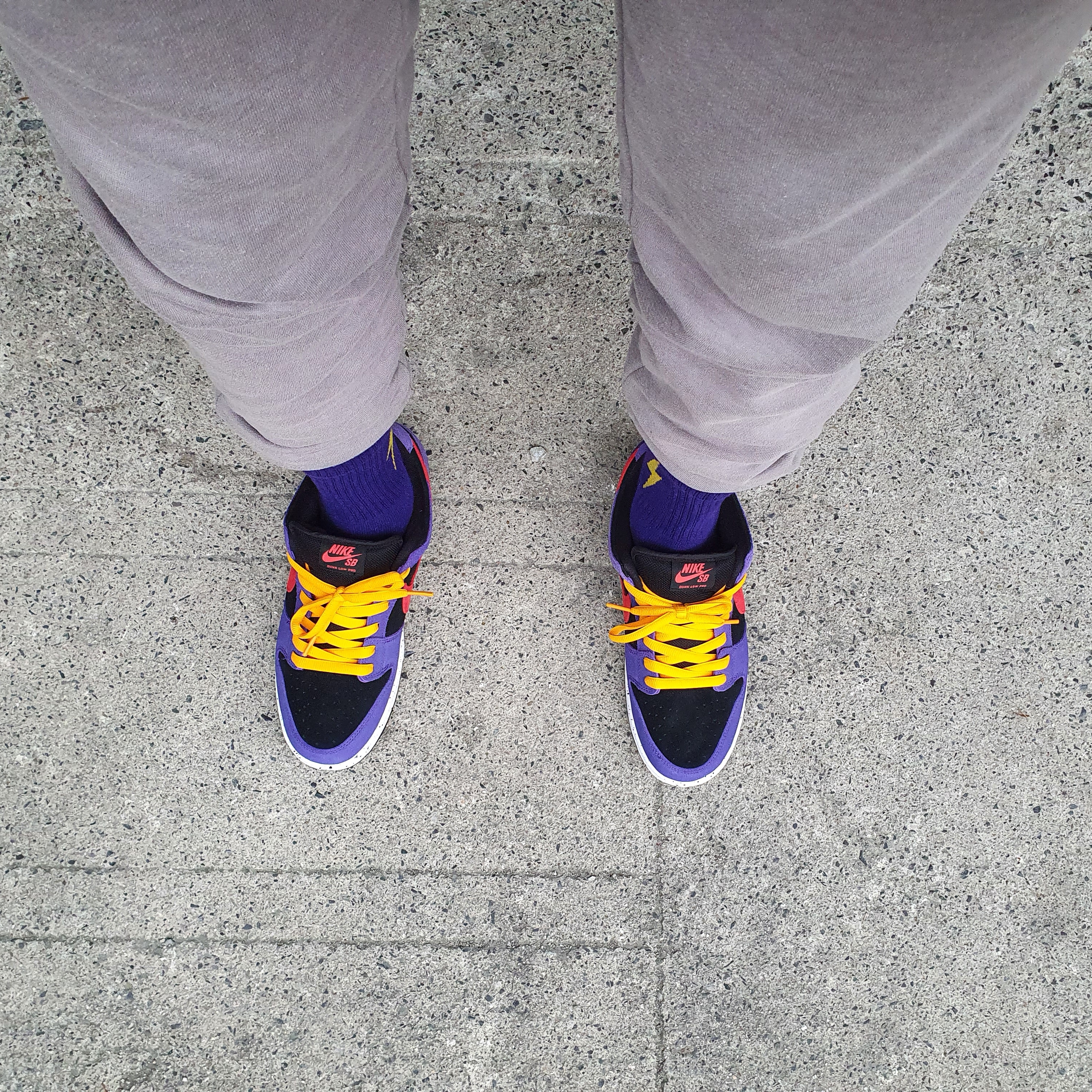 Nike SB Dunk Low Pro Trail 착용 스타일 - 1