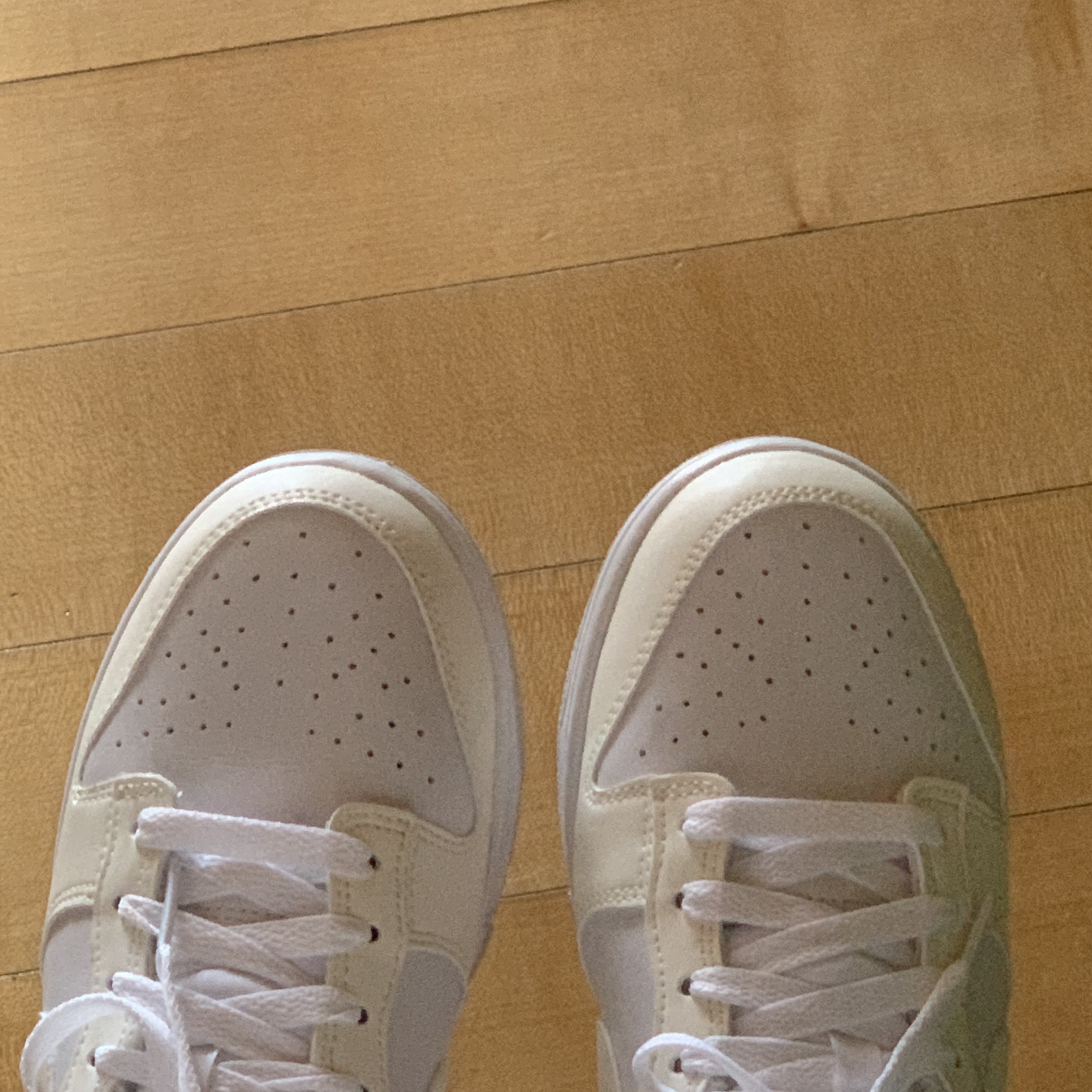 (W) Nike Dunk Low Next Nature Sail 착용 스타일