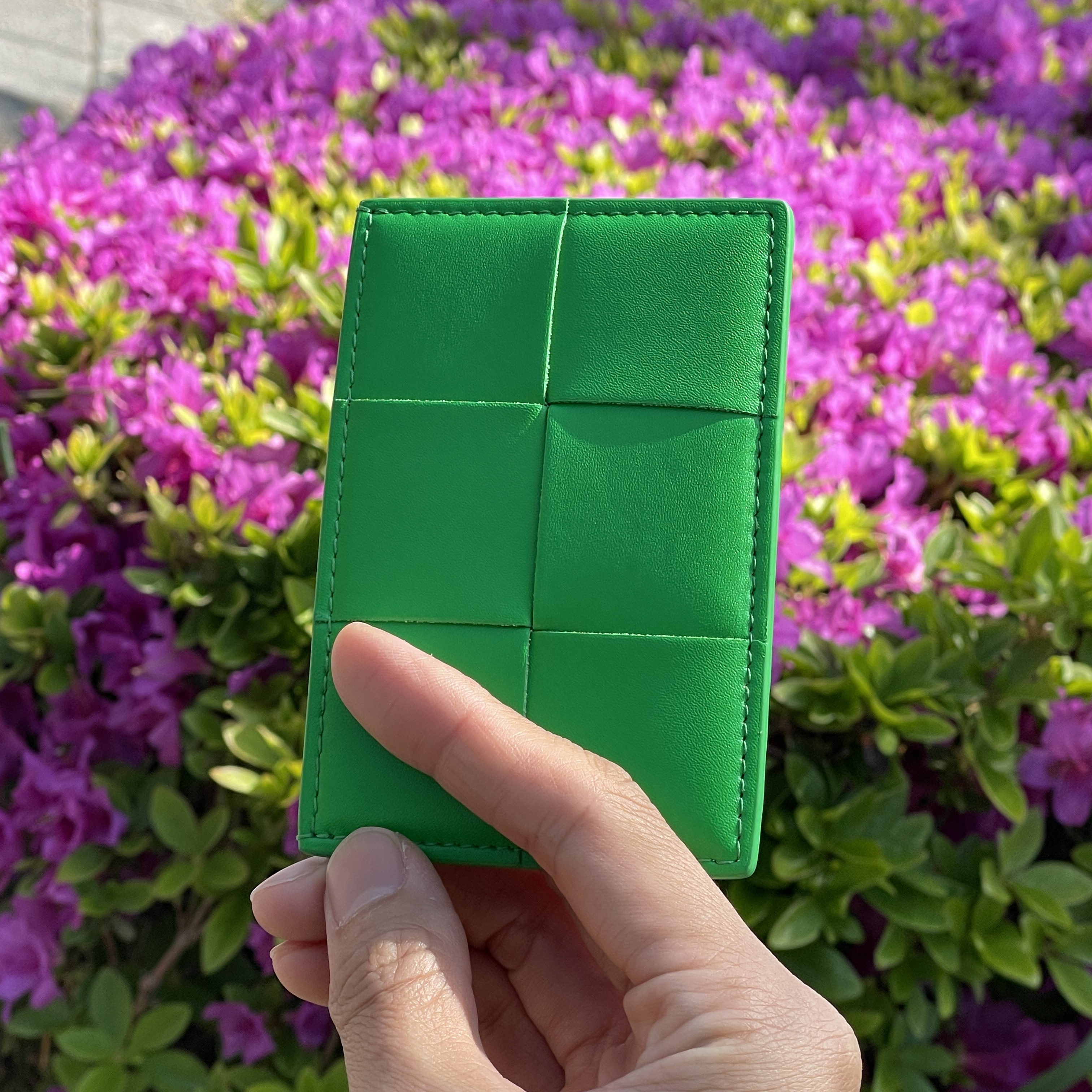 Bottega Veneta Credit Card Case Calfskin Parakeet 착용 스타일