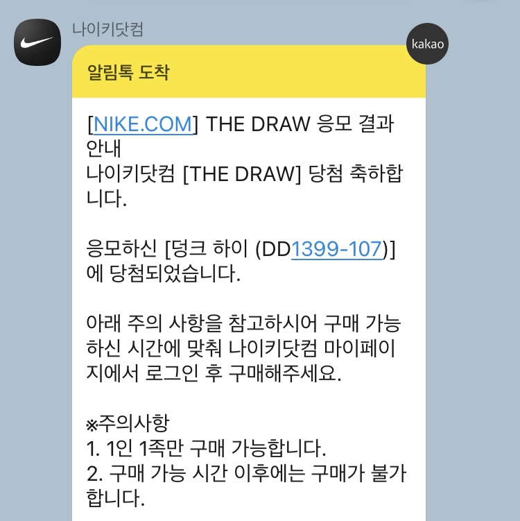 Nike Dunk High Retro Championship Khaki 착용 스타일 - 2