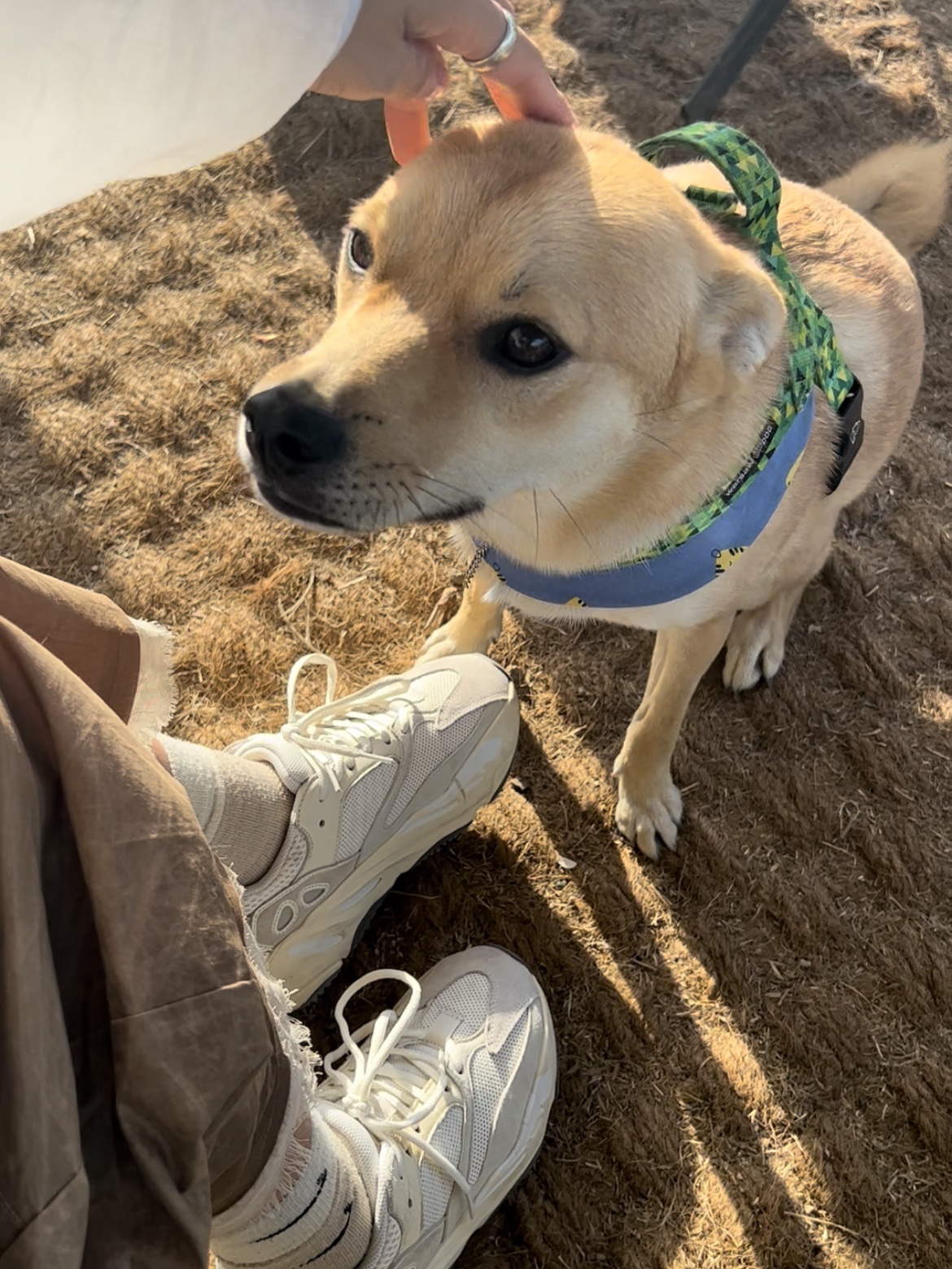 Nike x Matthew M Williams NRG Socks Desert Ore Black, Adidas Yeezy Boost 700 Analog 2019 착용 스타일 - 1