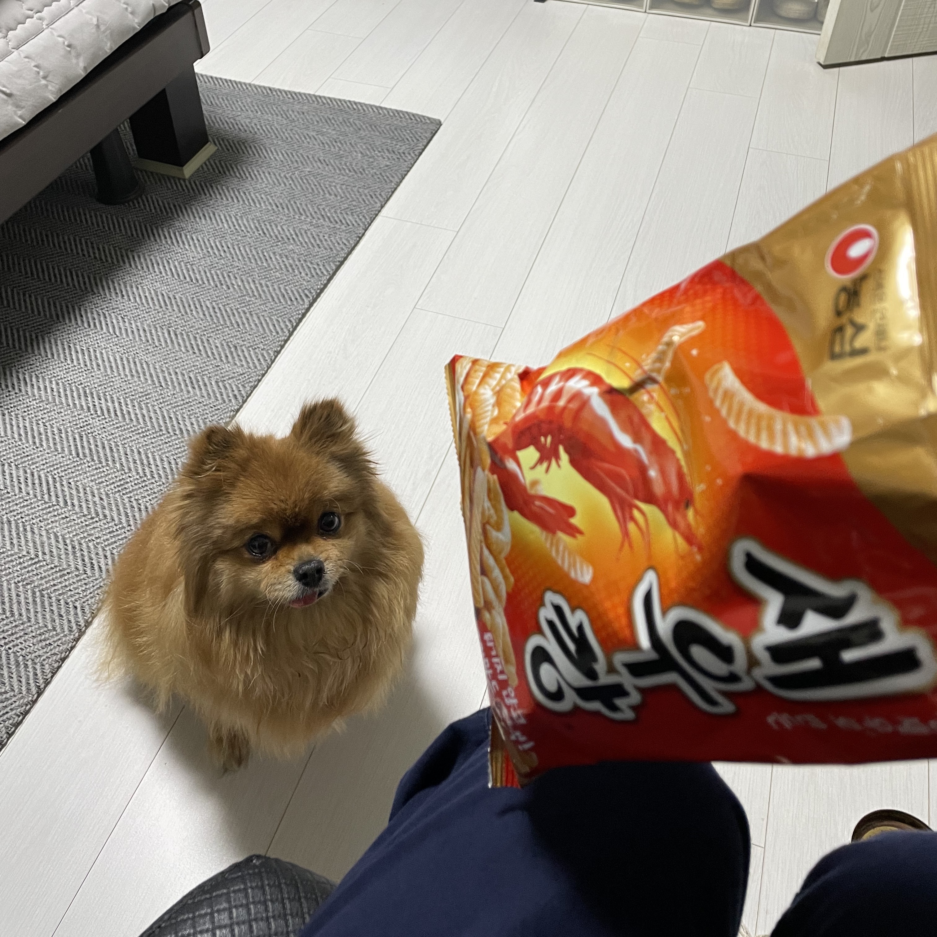유언차닁님의 스타일