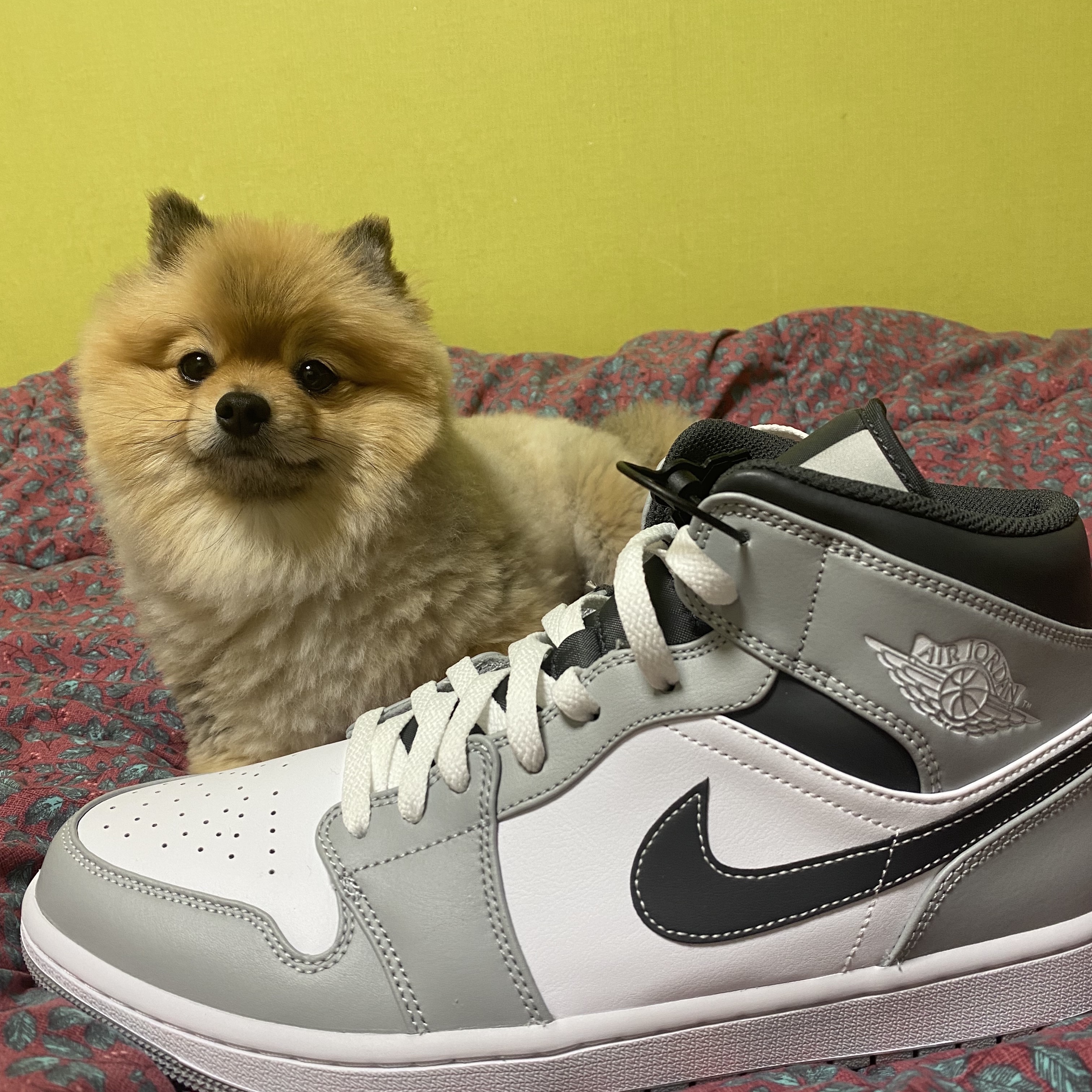Jordan 1 Mid Light Smoke Grey Anthracite 착용 스타일