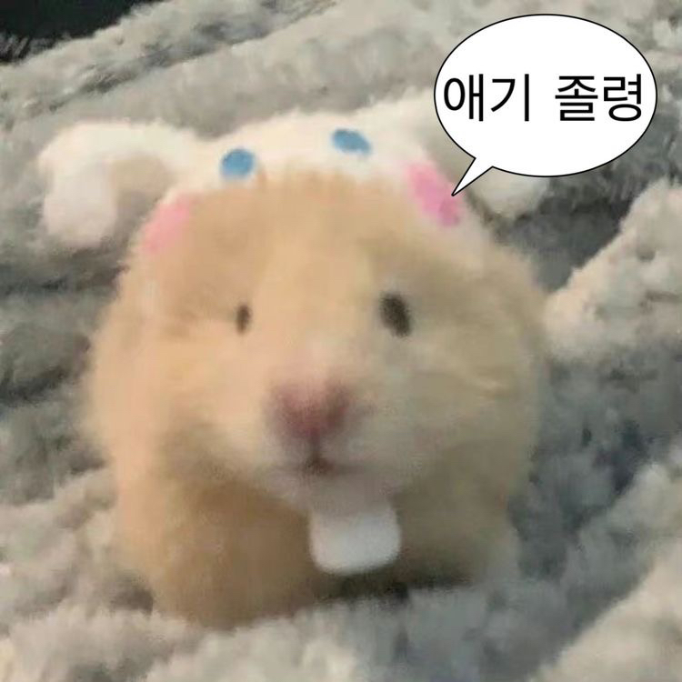KREAM 프로필 이미지
