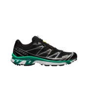 Salomon XT-6 Black Mint Leaf