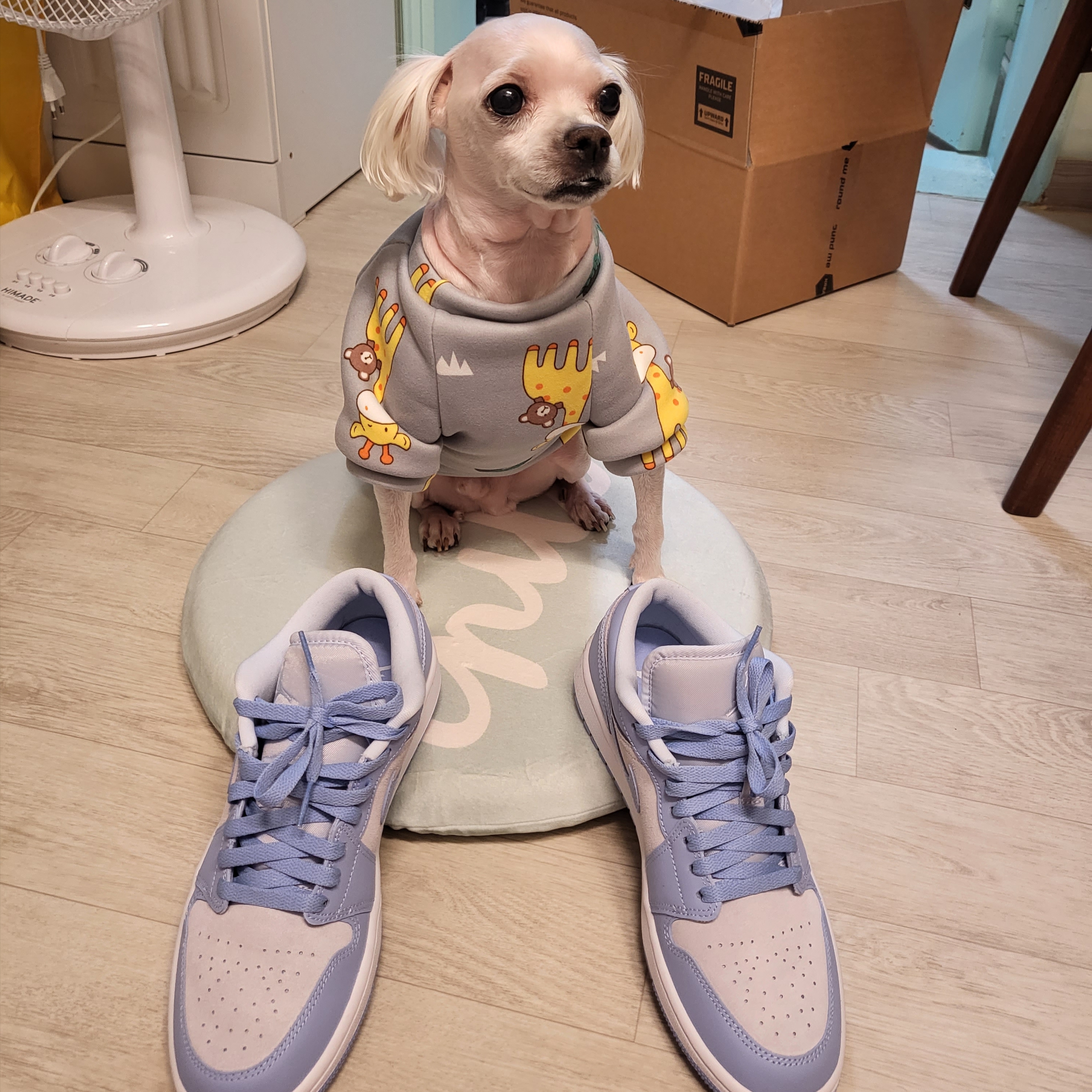(W) Jordan 1 Low Aluminum 착용 스타일