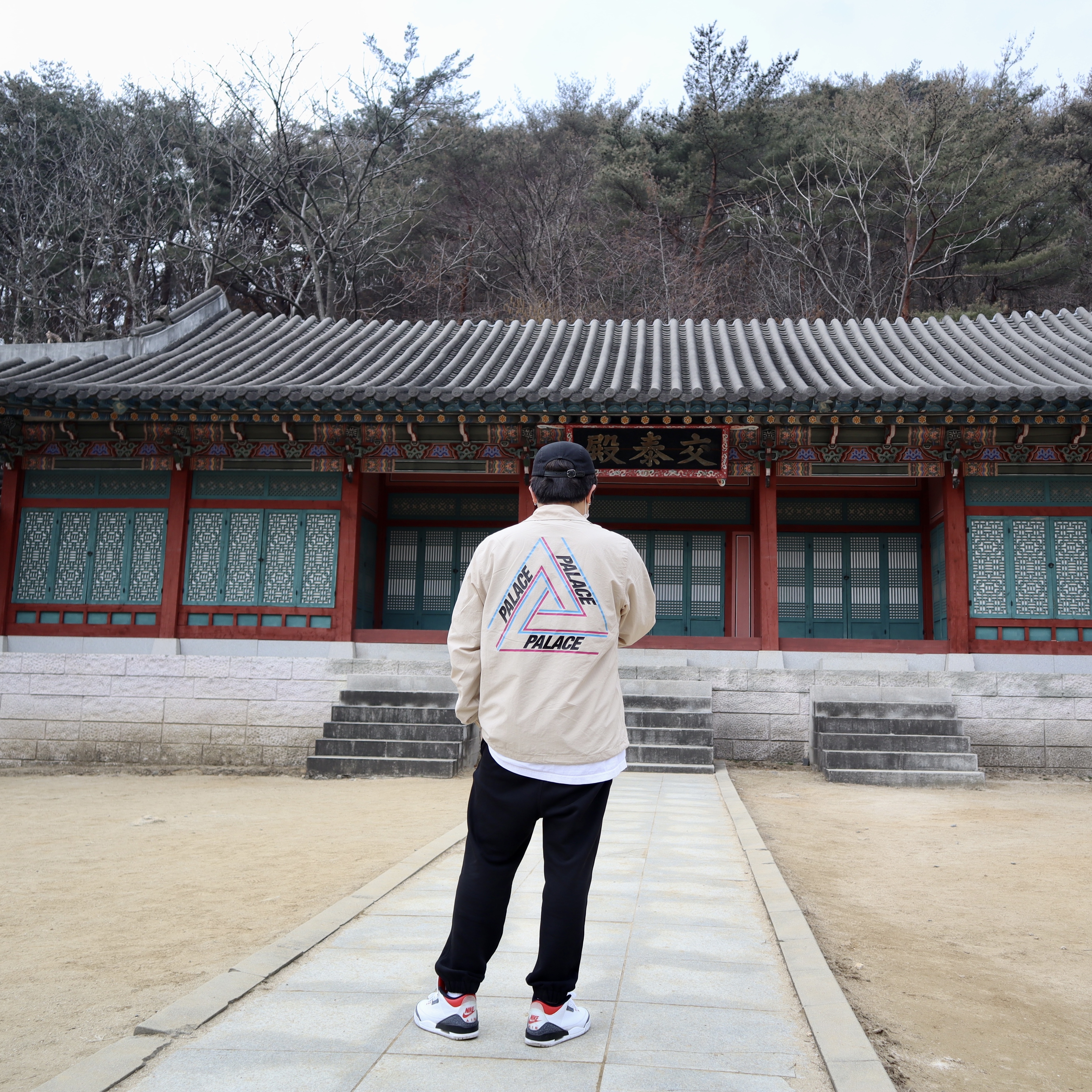 Palace Tri Outline Coach Jacket Tan - 22SS, Jordan 3 Retro SE Denim Fire Red 착용 스타일