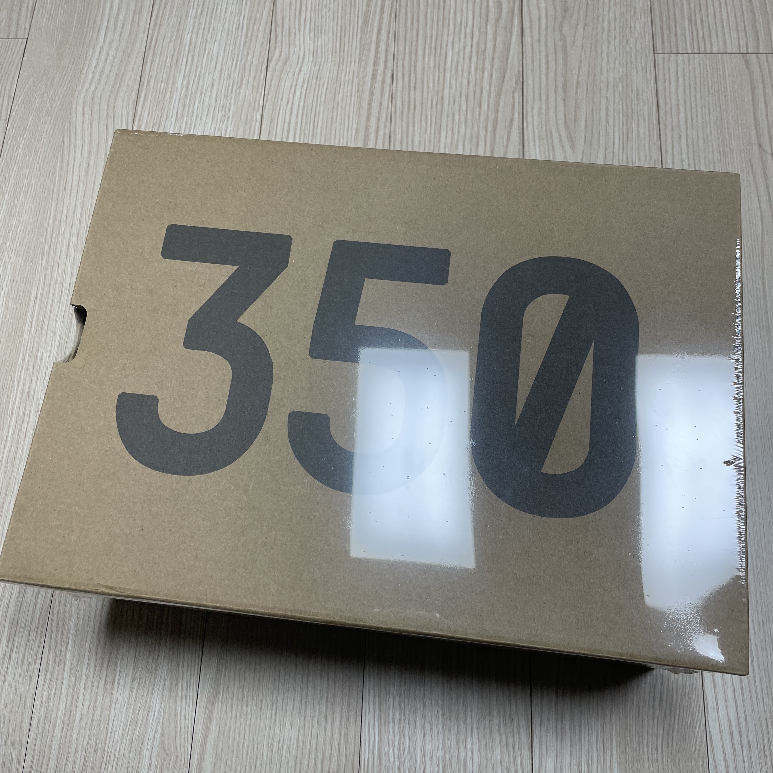 Adidas Yeezy Boost 350 V2 Beluga - Reflective 착용 스타일 - 1