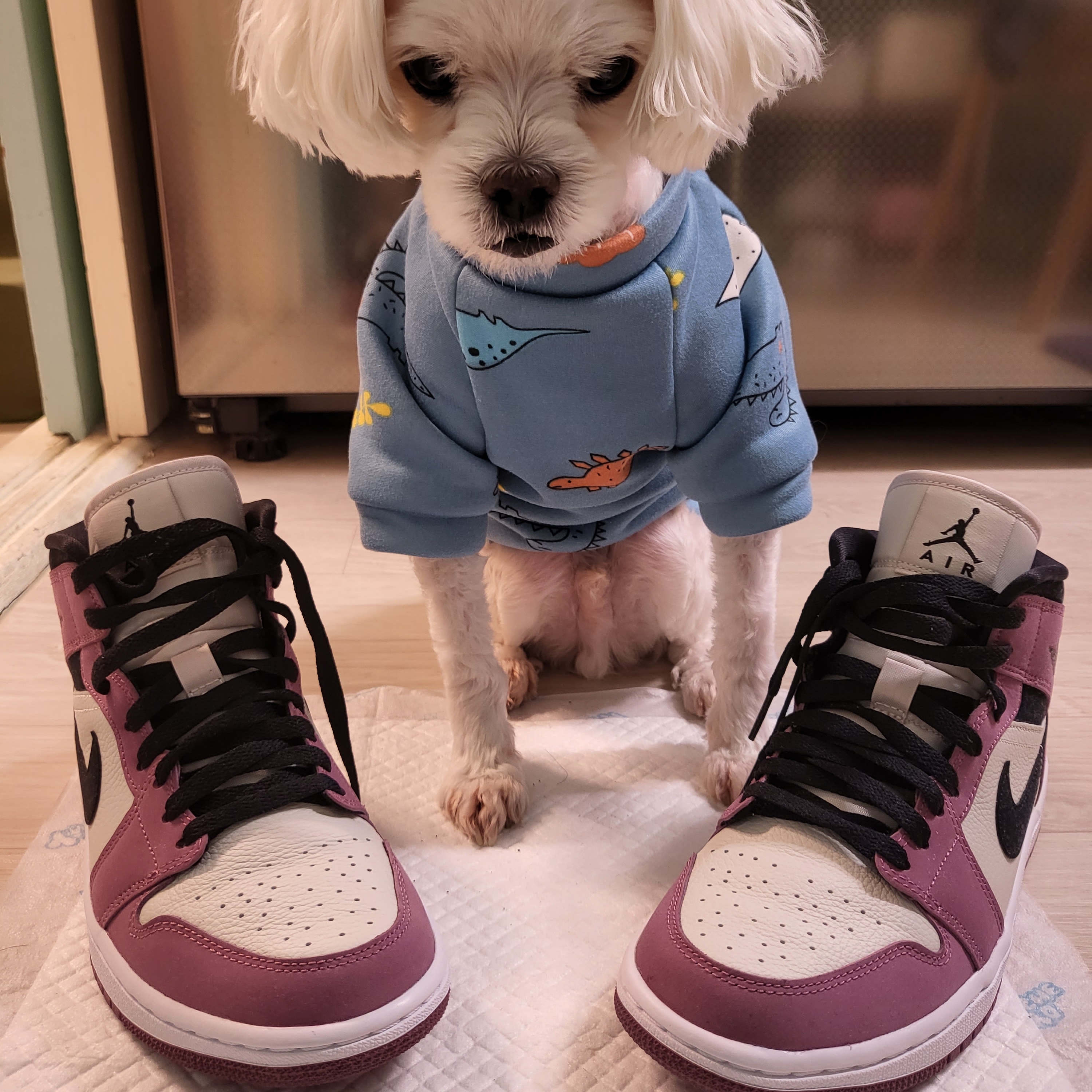 (W) Jordan 1 Mid SE Light Mulberry 착용 스타일