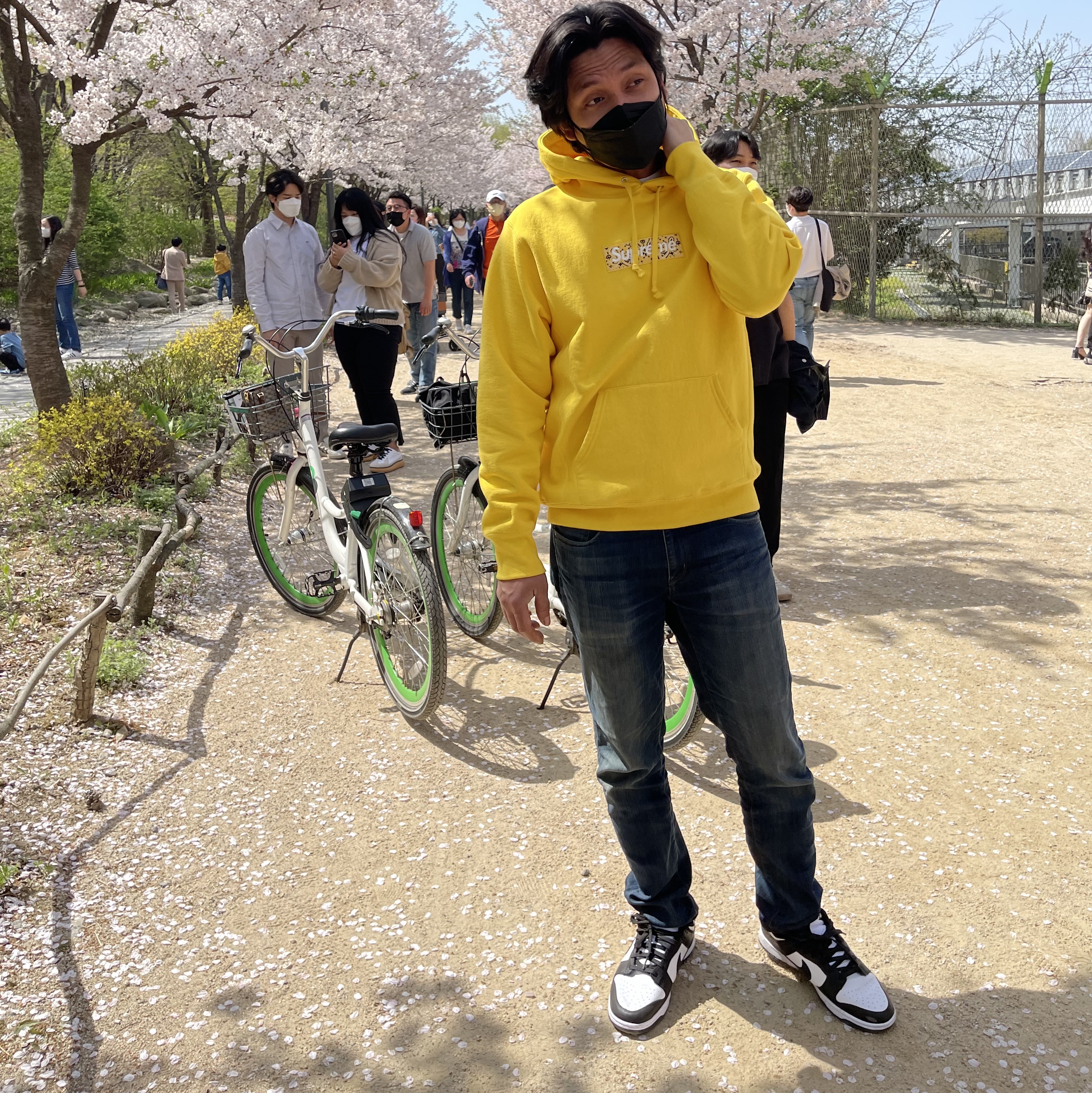 Nike Dunk Low Retro Black, Supreme Bandana Box Logo Hooded Sweatshirt Yellow - 19FW 착용 스타일