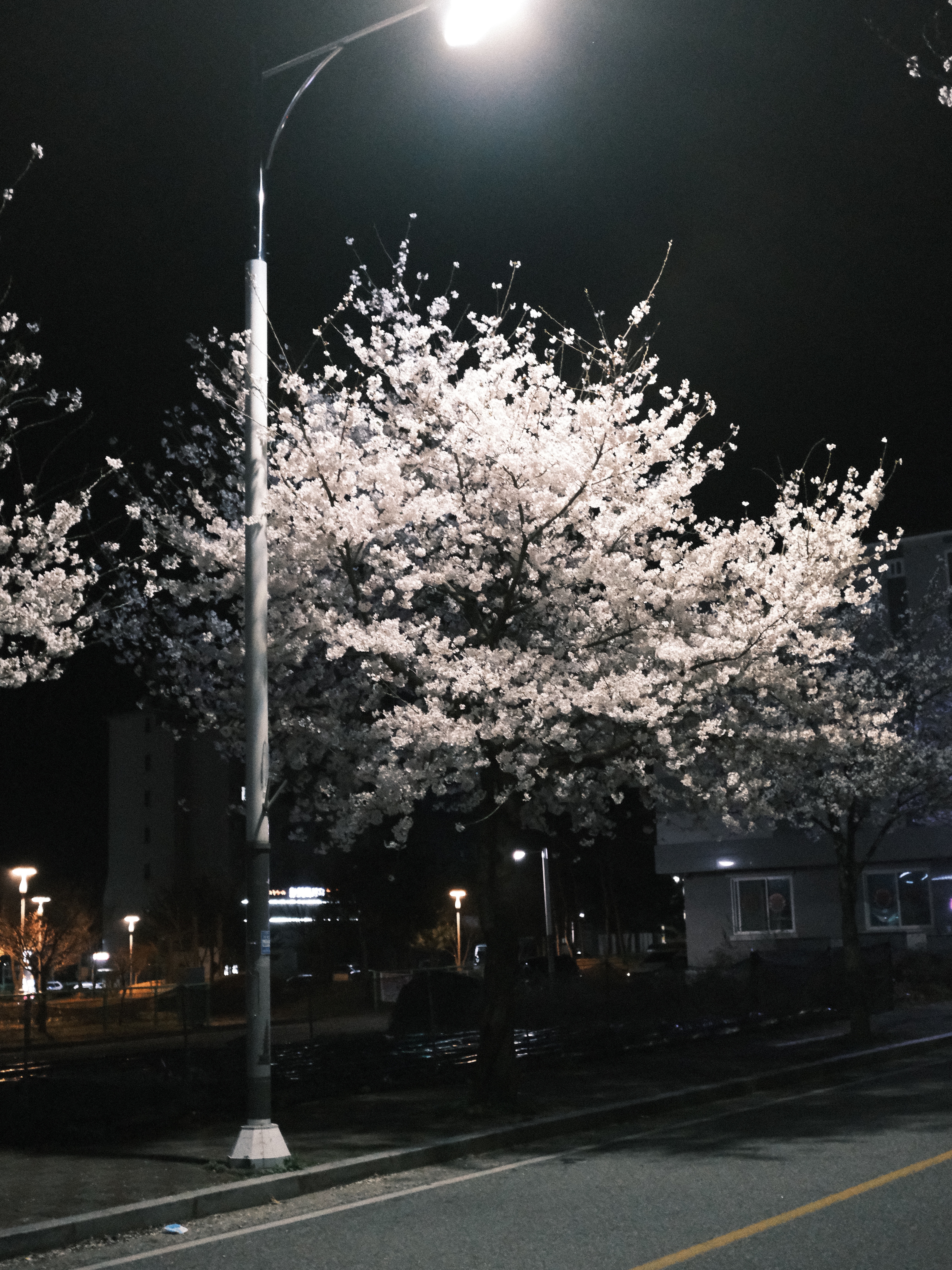 kimdaekyu님의 스타일 - 2