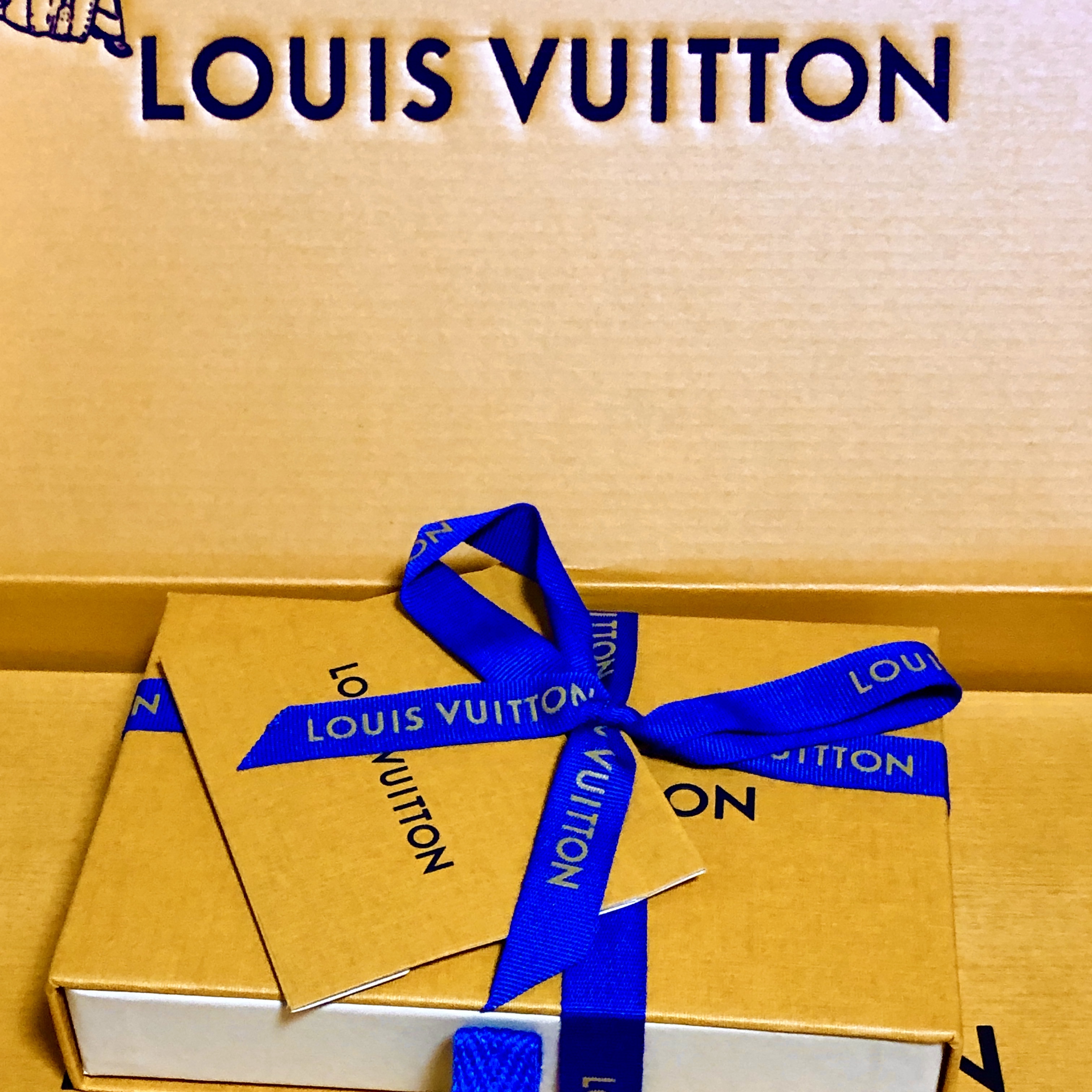 Louis Vuitton Envelope Business Card Holder Monogram 착용 스타일