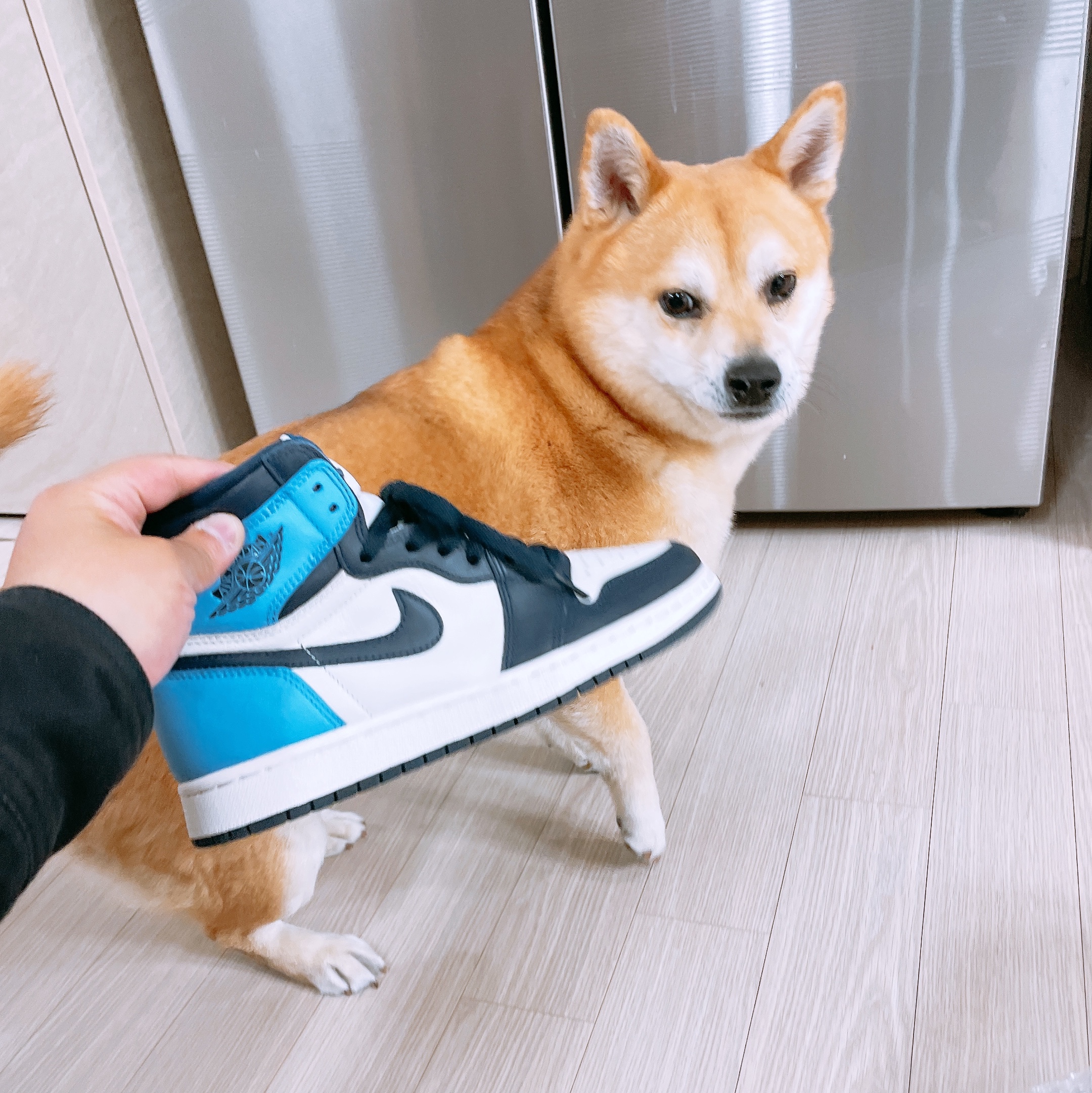 Jordan 1 Retro High Obsidian UNC 착용 스타일 - 1