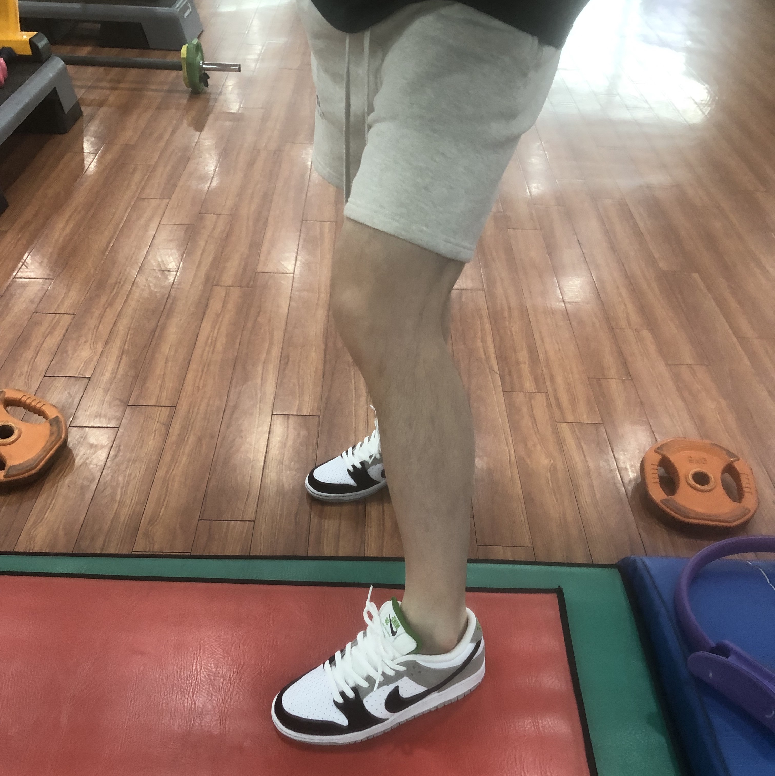 Nike SB Dunk Low Pro Chlorophyll, Essentials The Core Collection Sweatshorts Oatmeal 착용 스타일 - 3