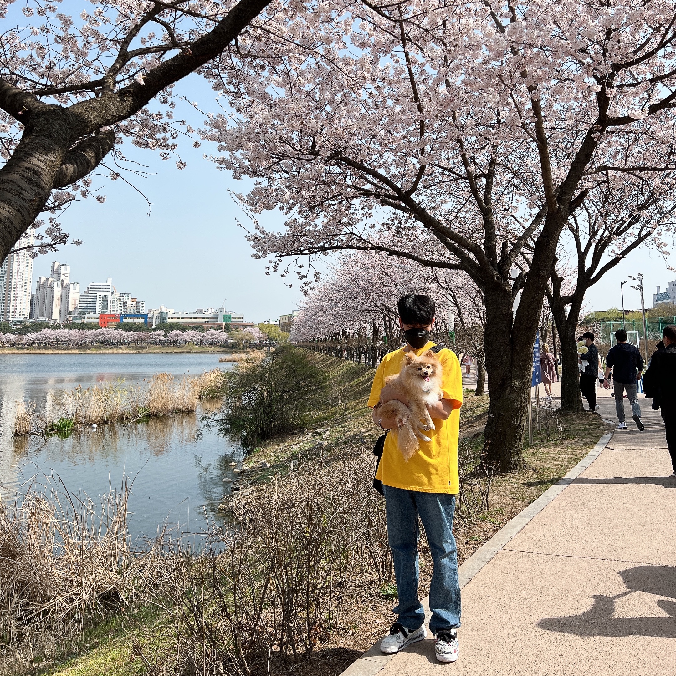 IAB Studio T-Shirt Yellow, Nike x Peaceminusone Air Force 1 Low Para-Noise 2.0 착용 스타일