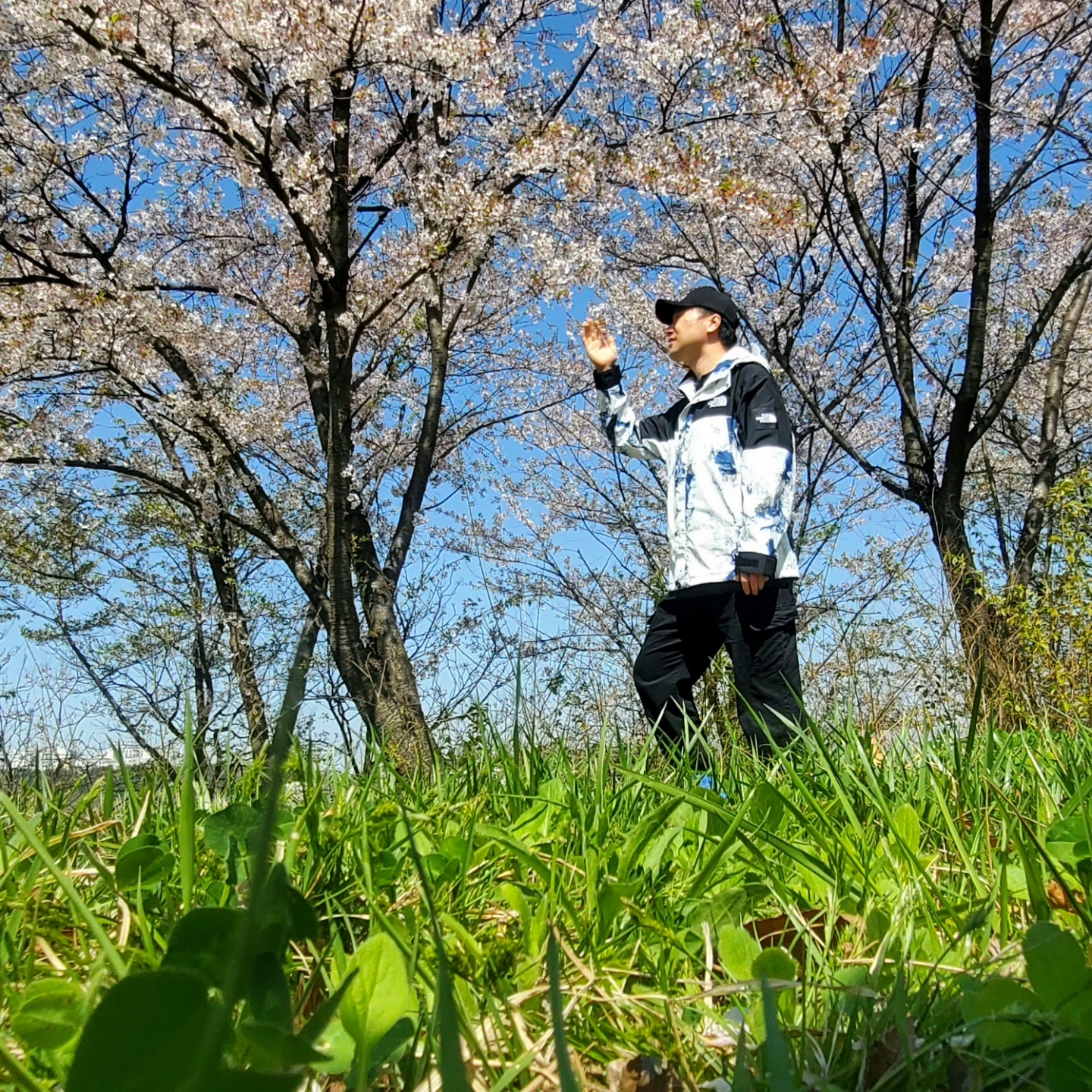 The North Face Novelty Vaiden Jacket White Sand 착용 스타일