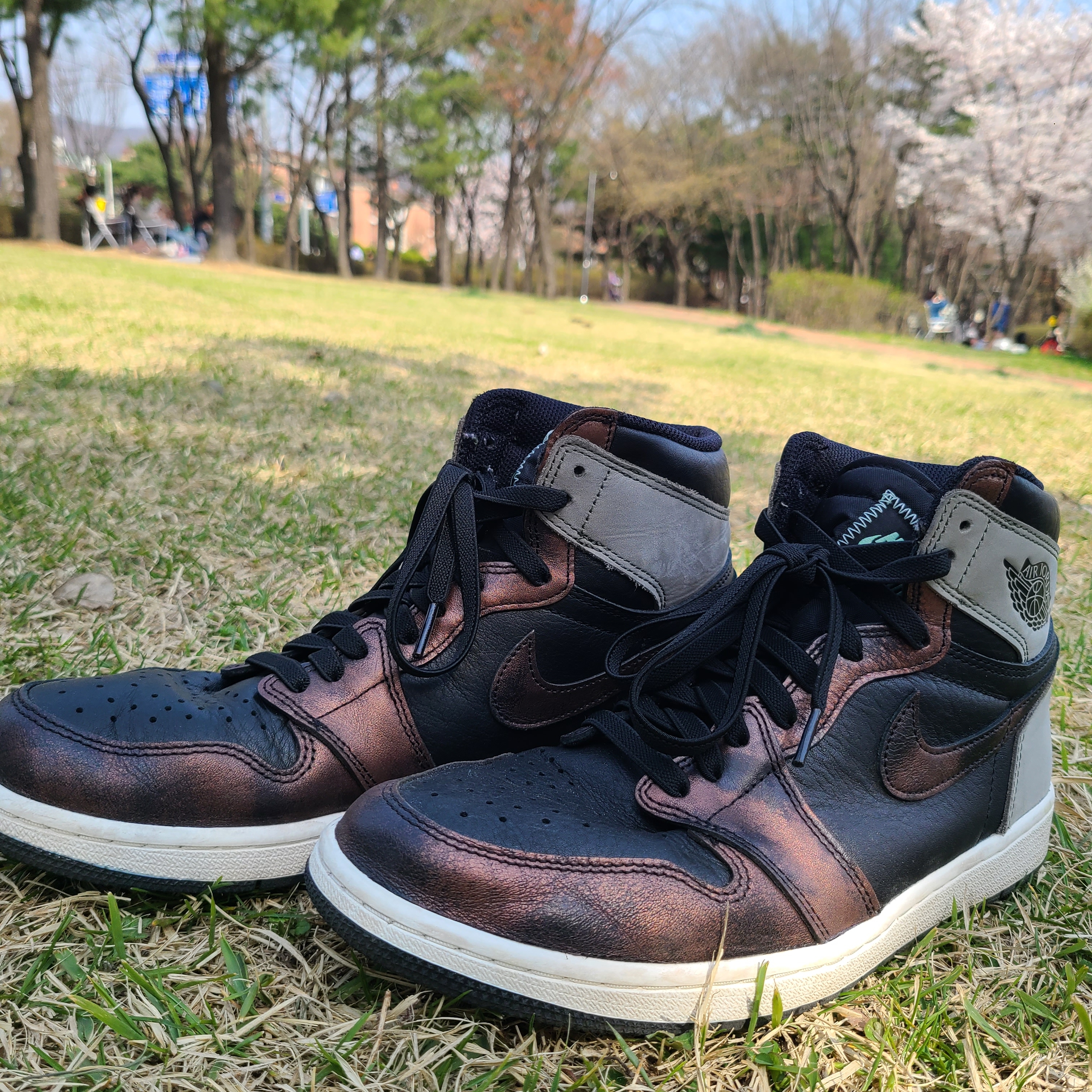 Jordan 1 Retro High OG Rust Shadow 착용 스타일